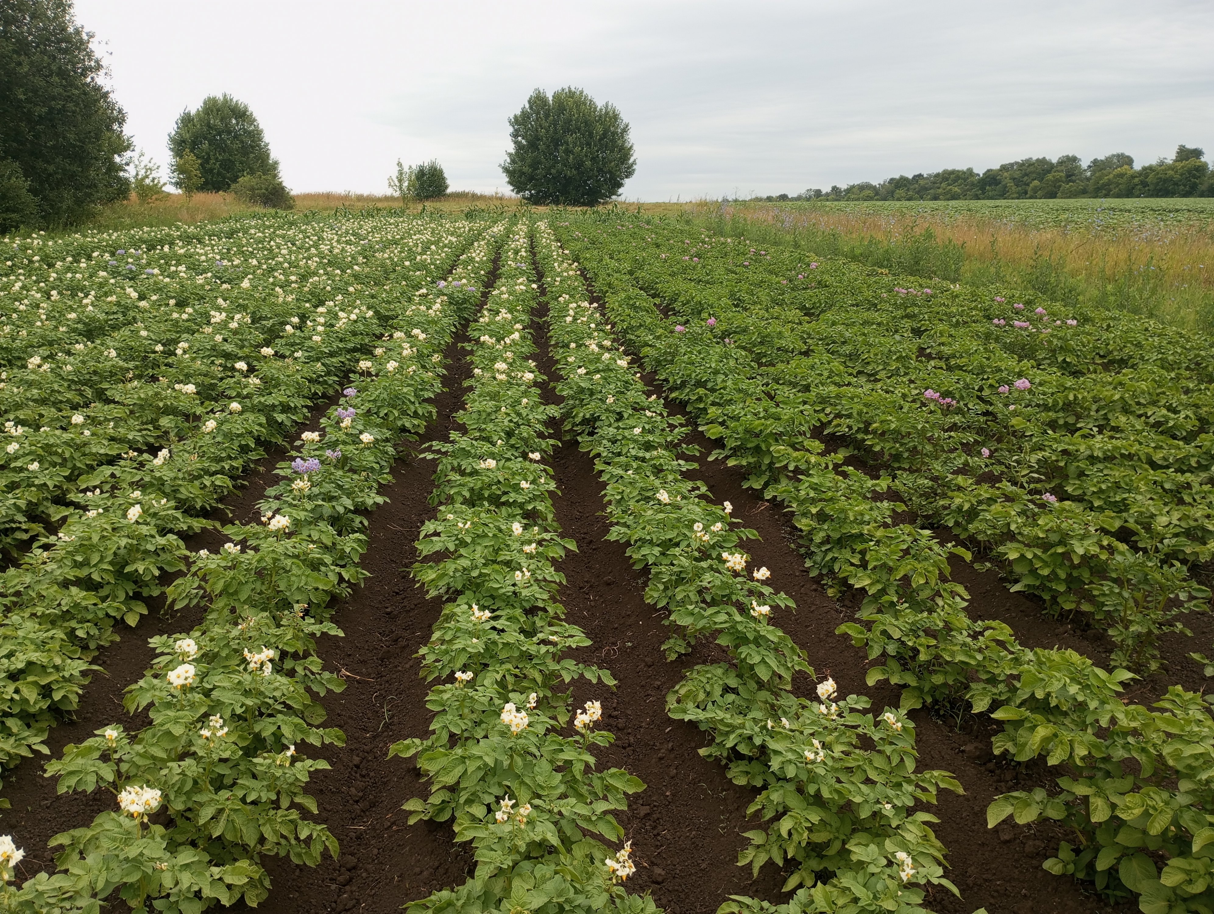 2023-07-09 11-42-49.JPG