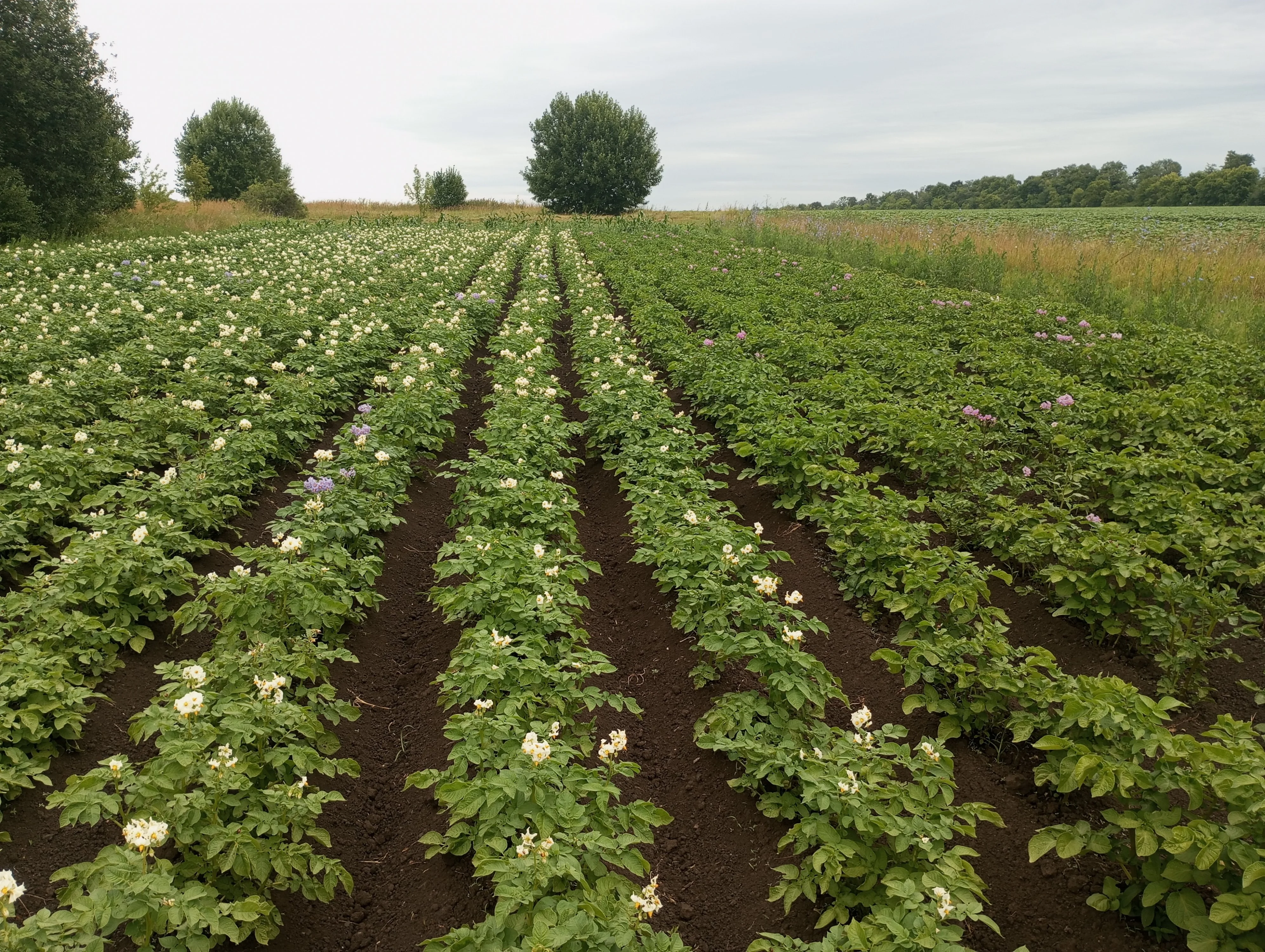 2023-07-09 11-42-49.JPG