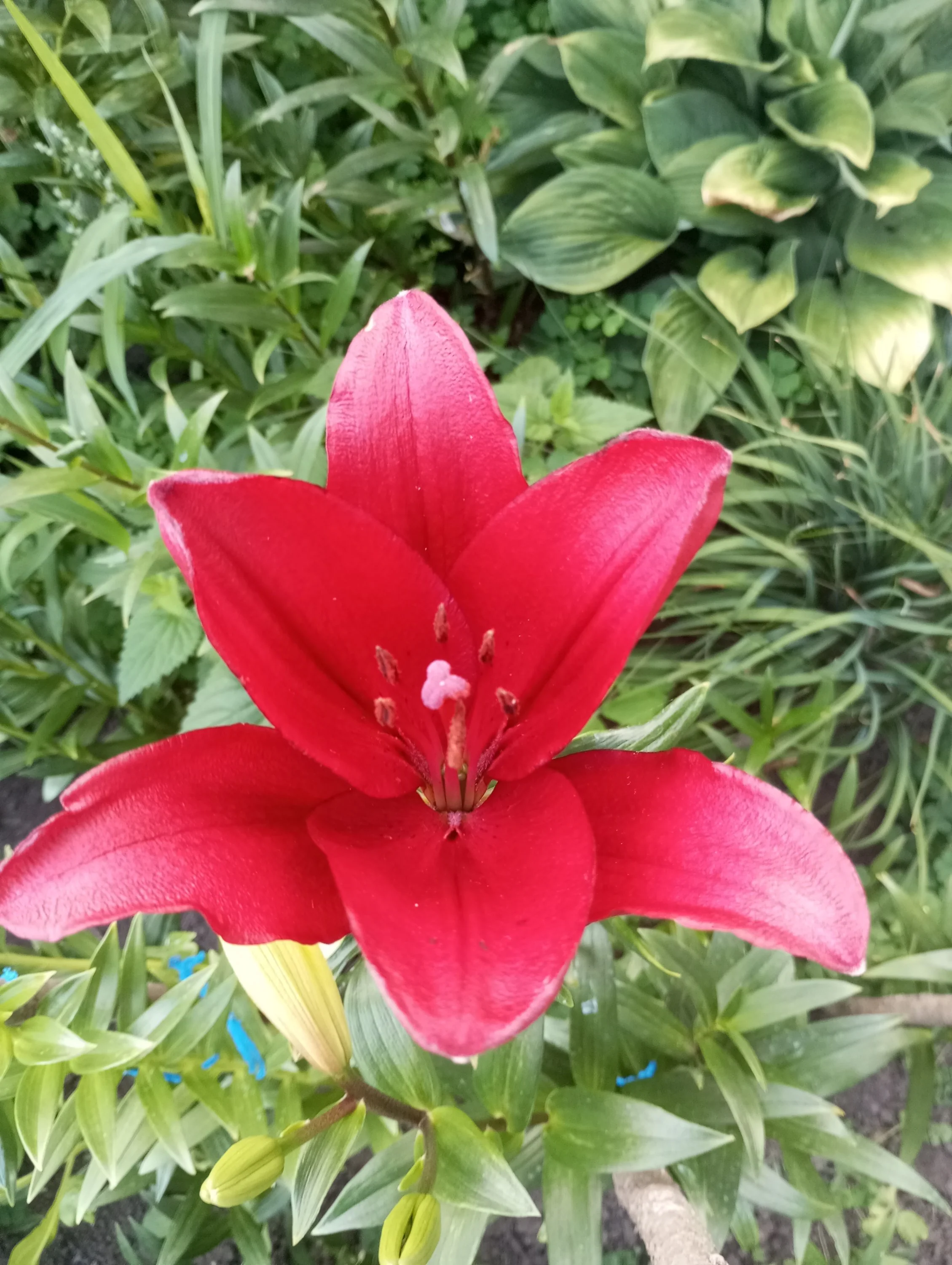 2023-07-12 19-17-01.webp