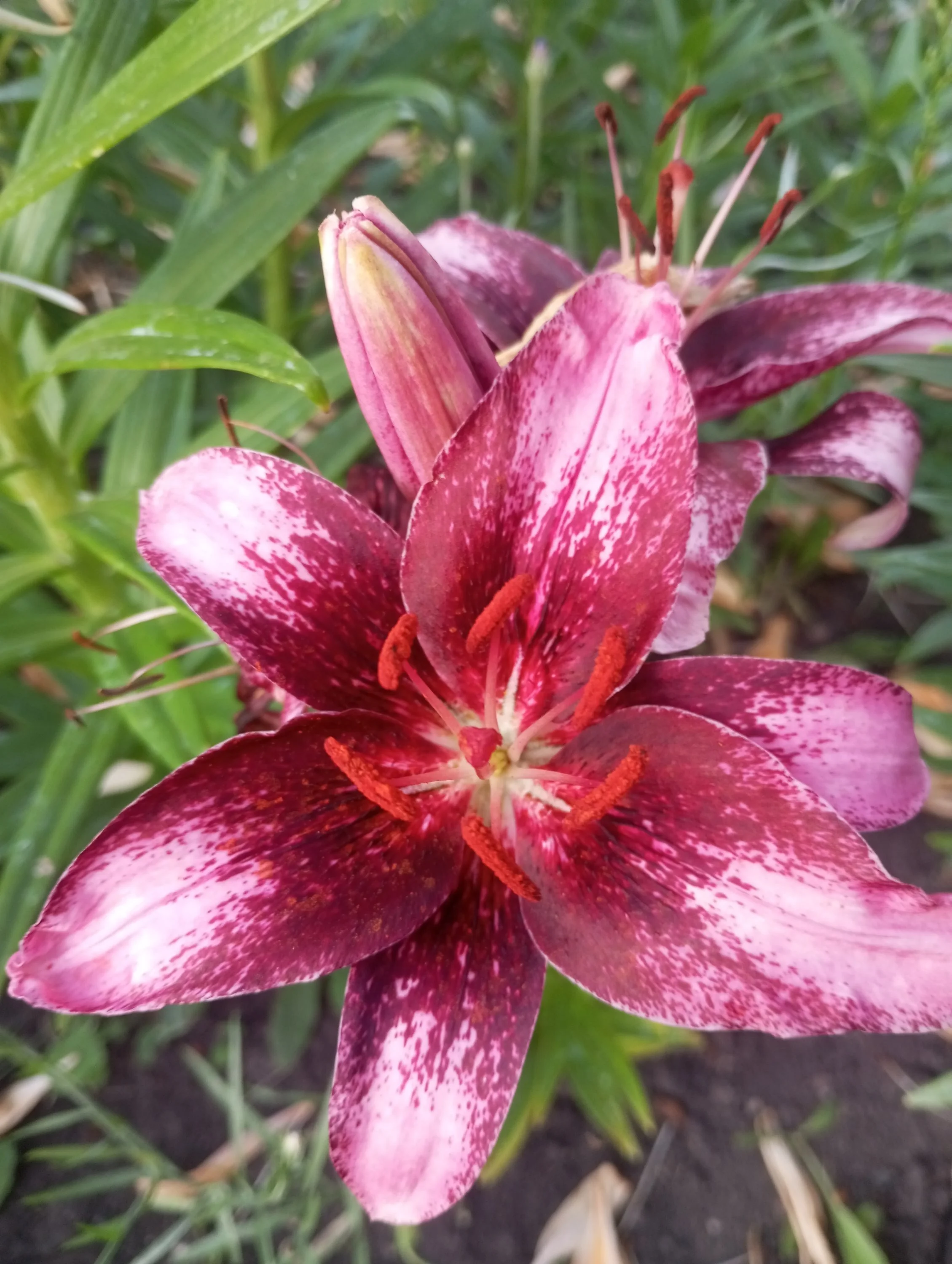 2023-07-13 20-04-52.webp