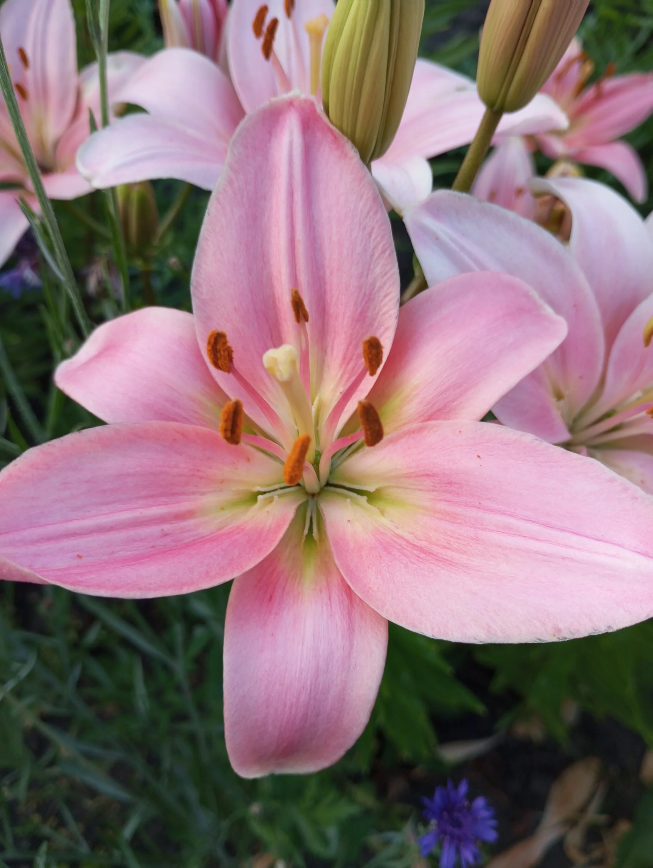 2023-07-13 20-05-03.webp