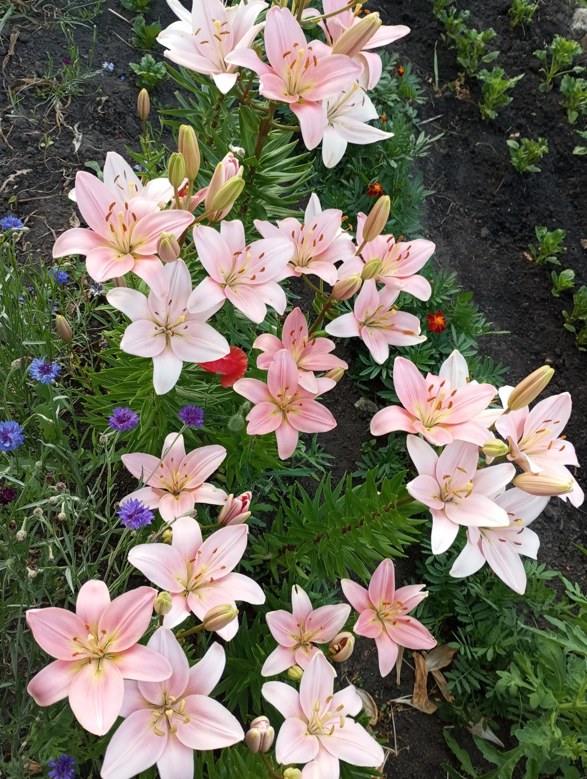 2023-07-13 20-05-07.webp