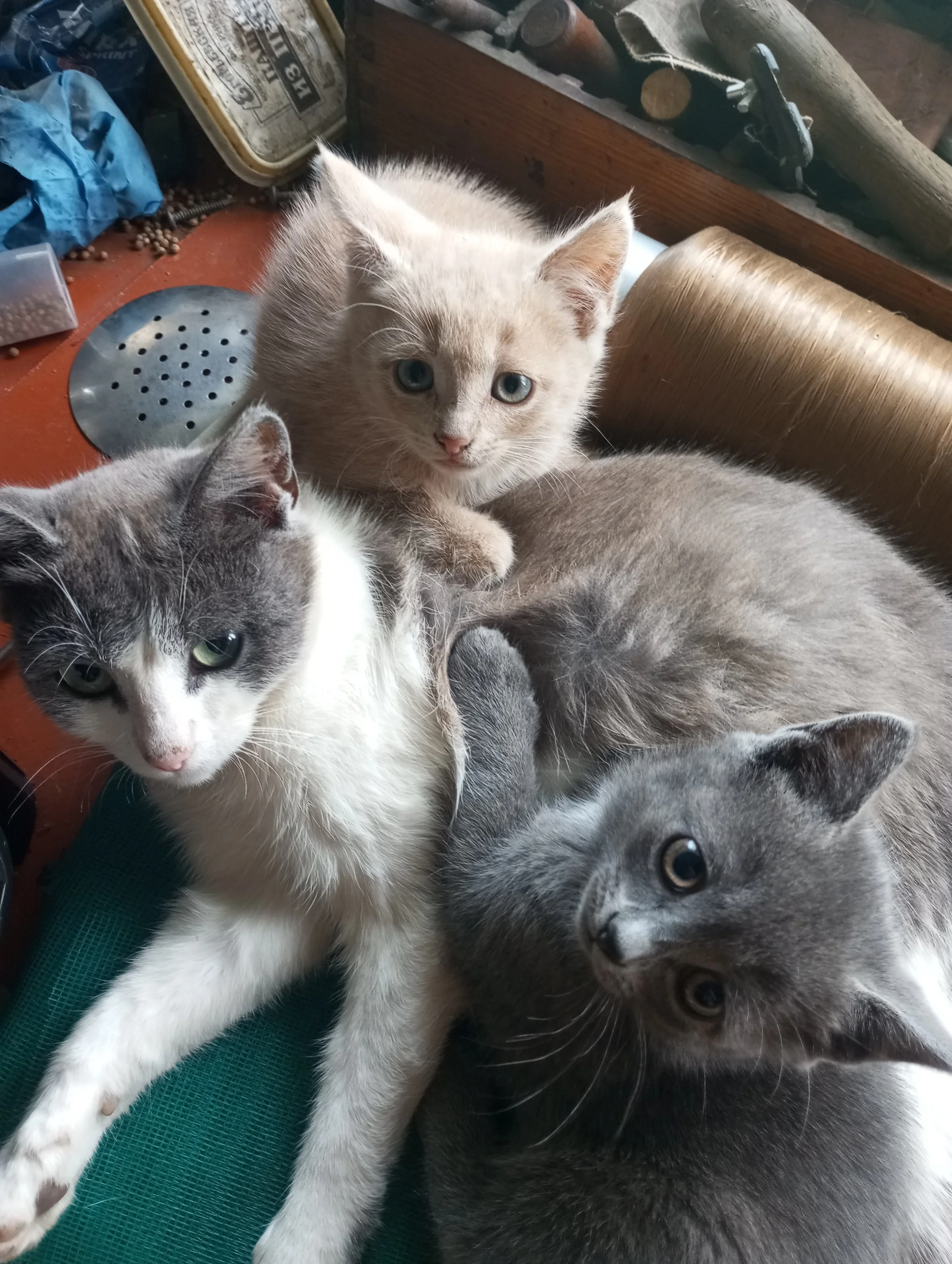 2023-07-16 16-45-11.webp