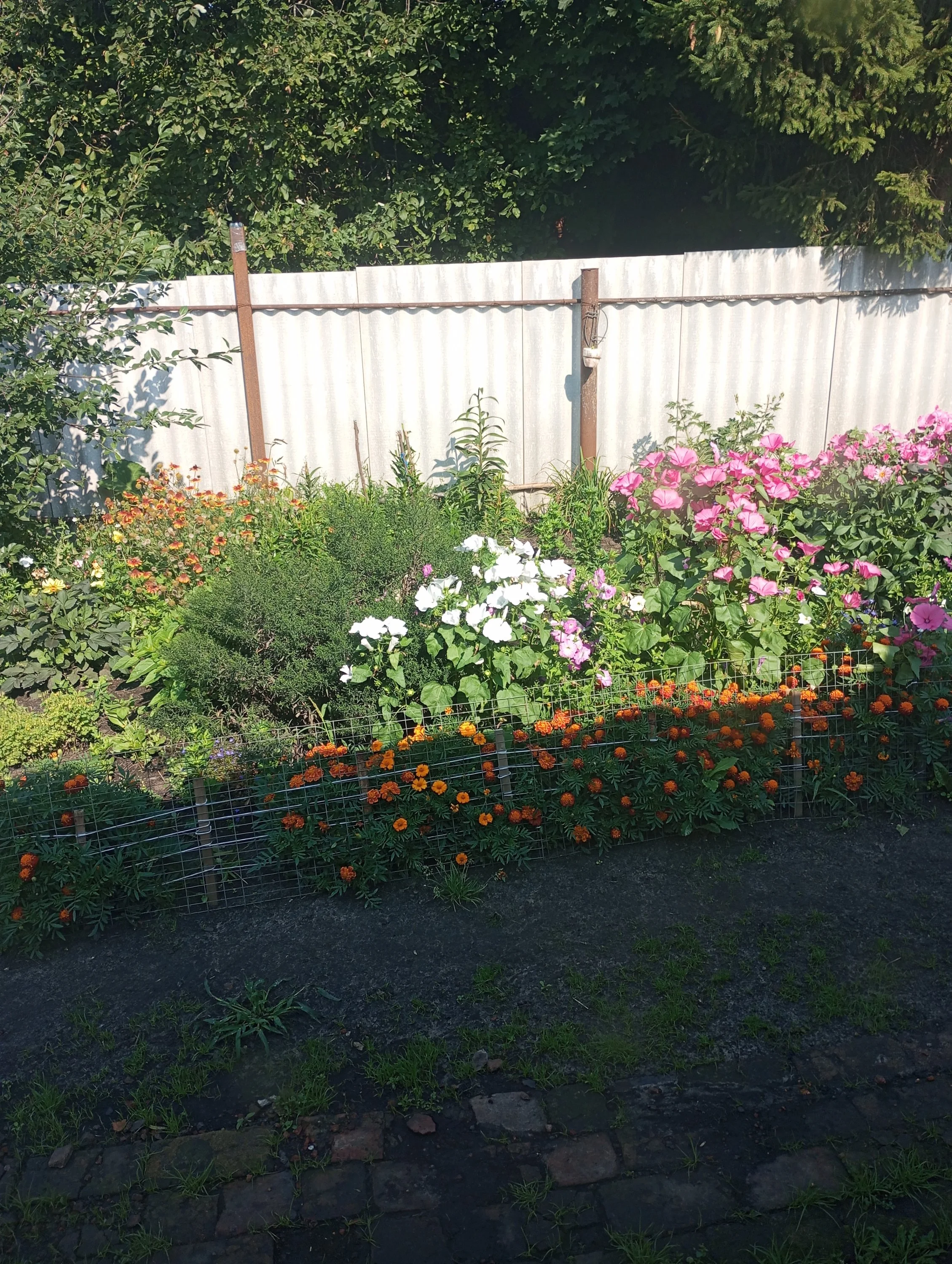 2023-08-15 09-26-01.webp