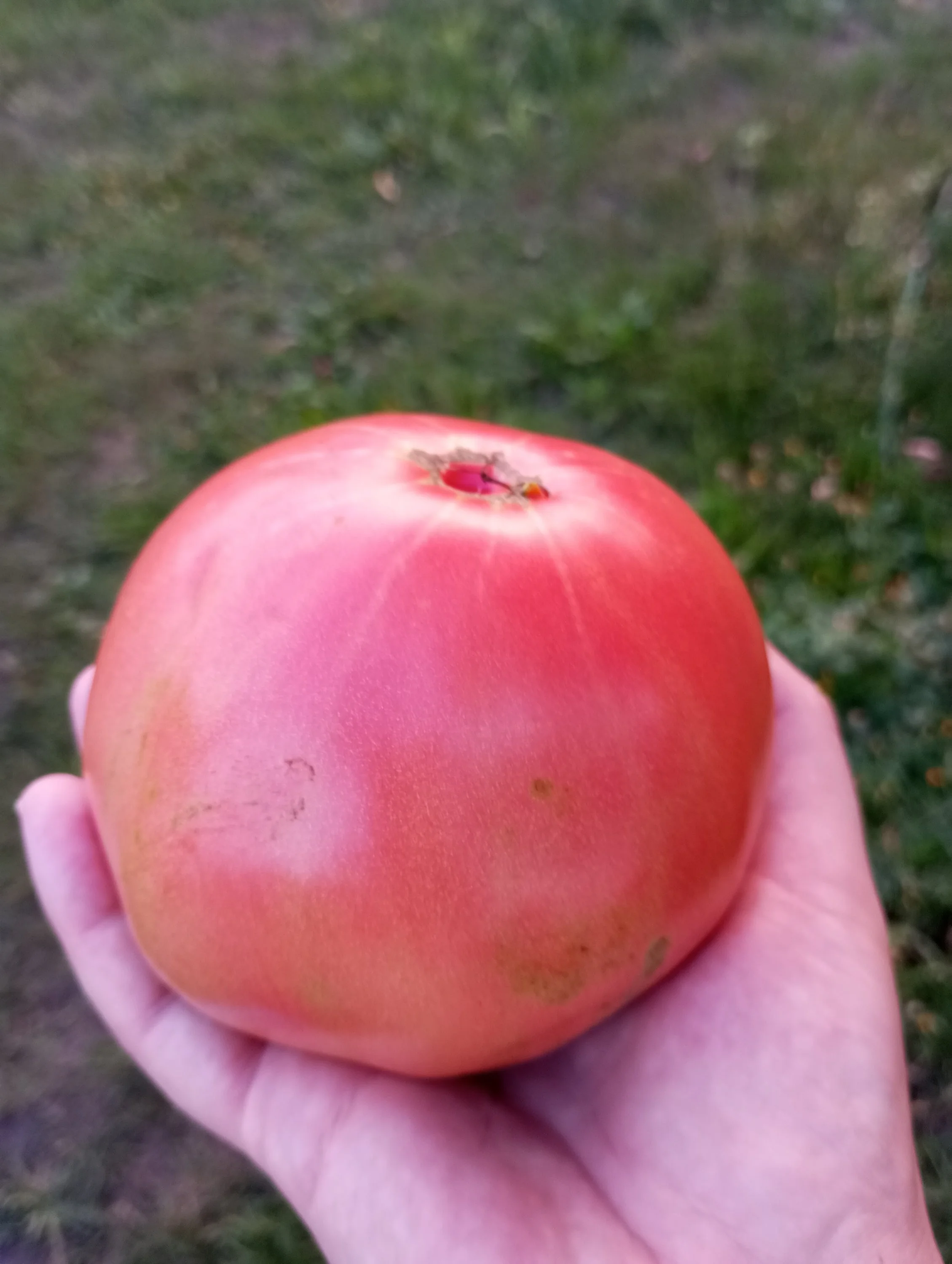 2023-08-19 19-28-04.webp