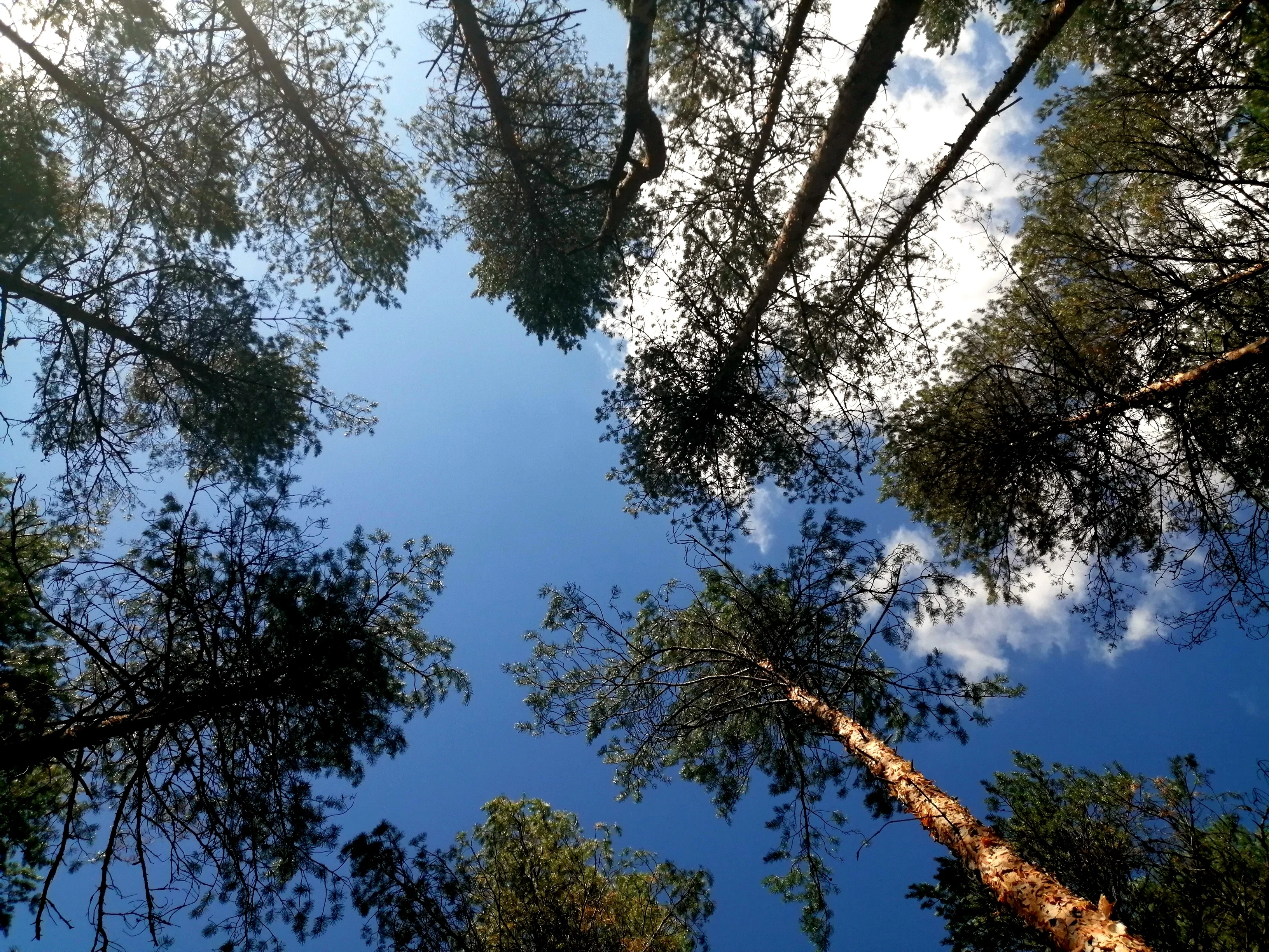 2023-08-20 13-50-27.webp