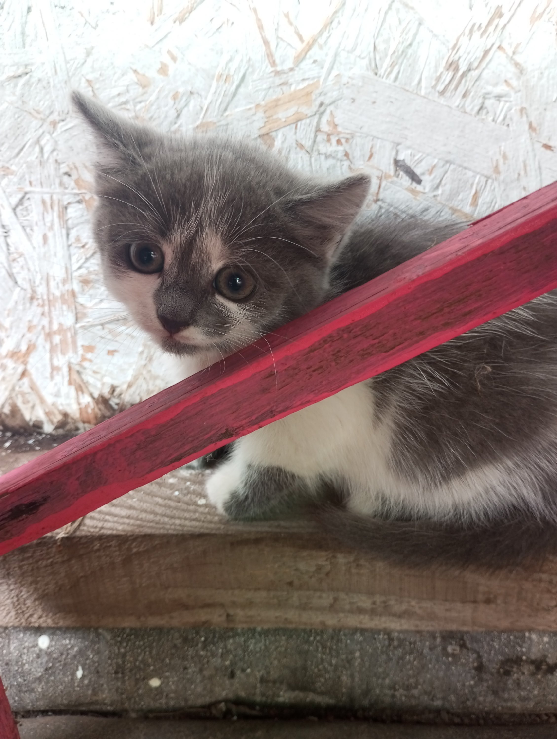 2023-08-22 16-58-05 (1).JPG