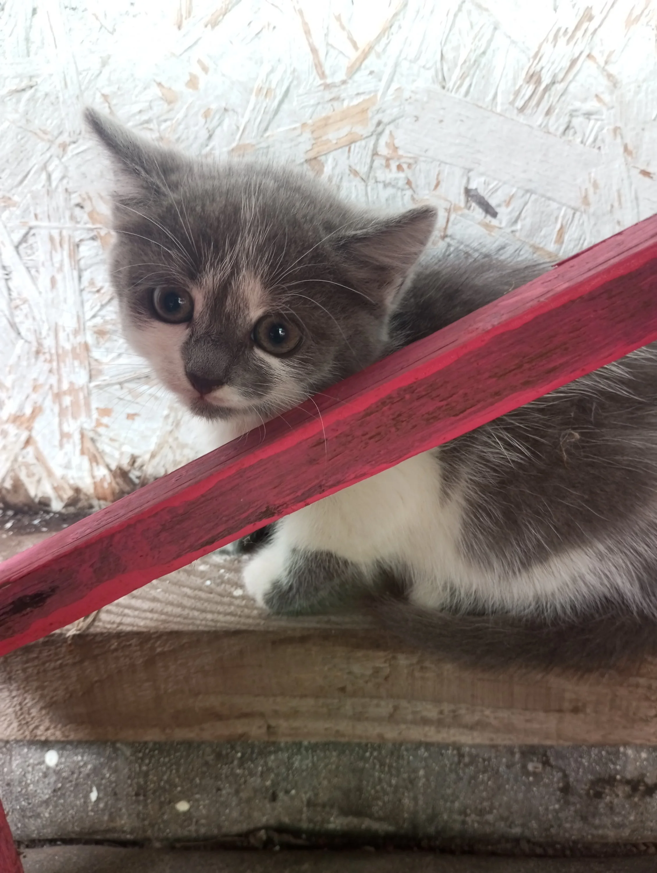 2023-08-22 16-58-05 (1).webp