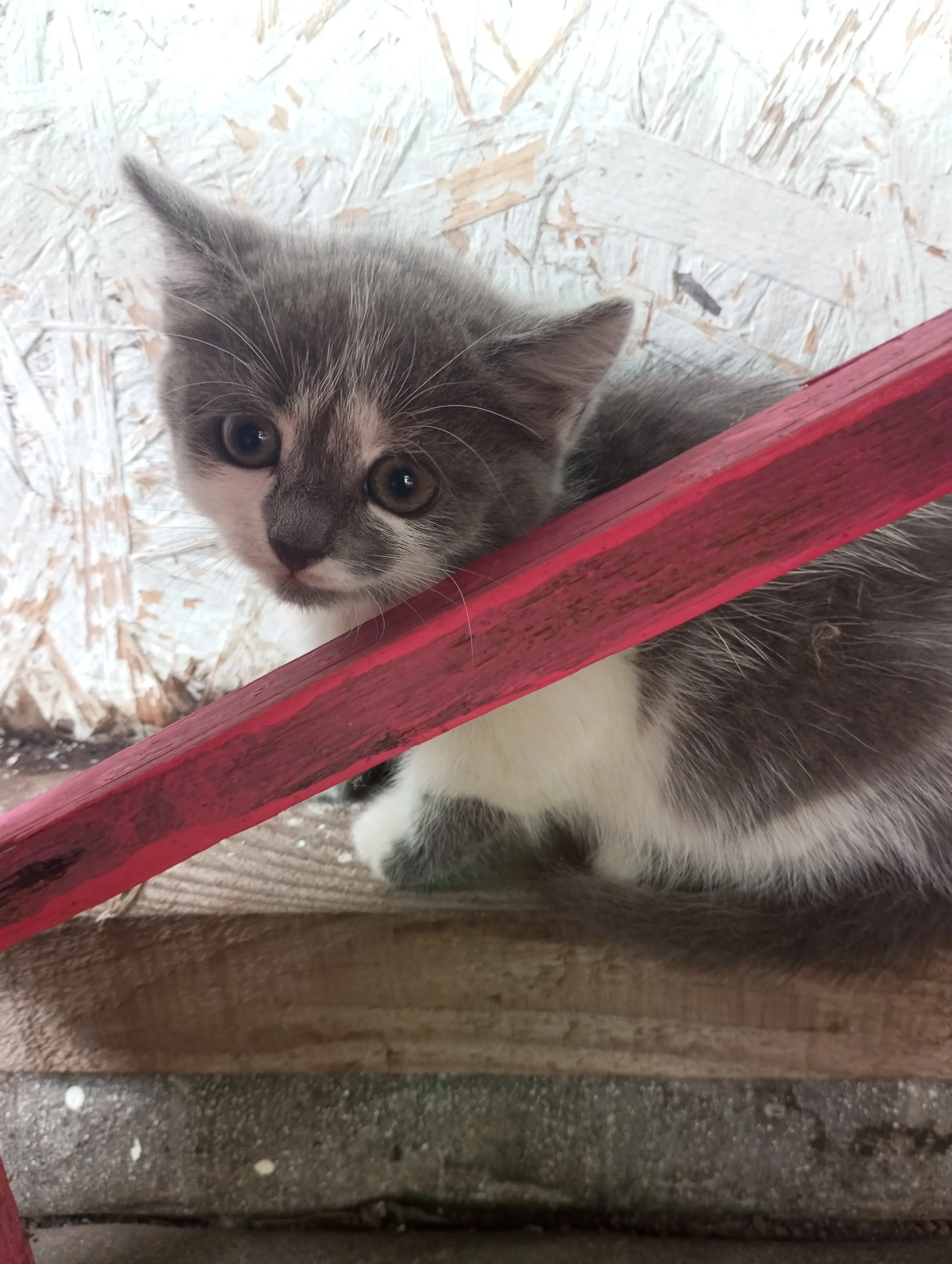 2023-08-22 16-58-05.webp