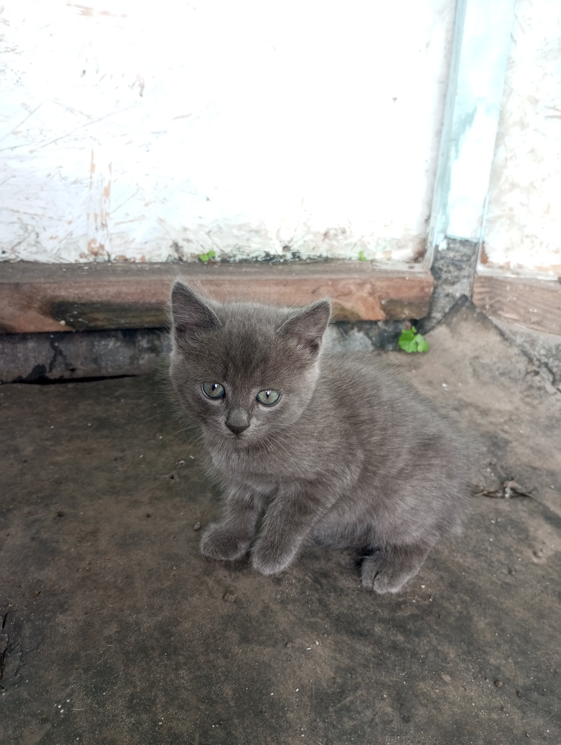 2023-08-22 16-58-28 (1).JPG