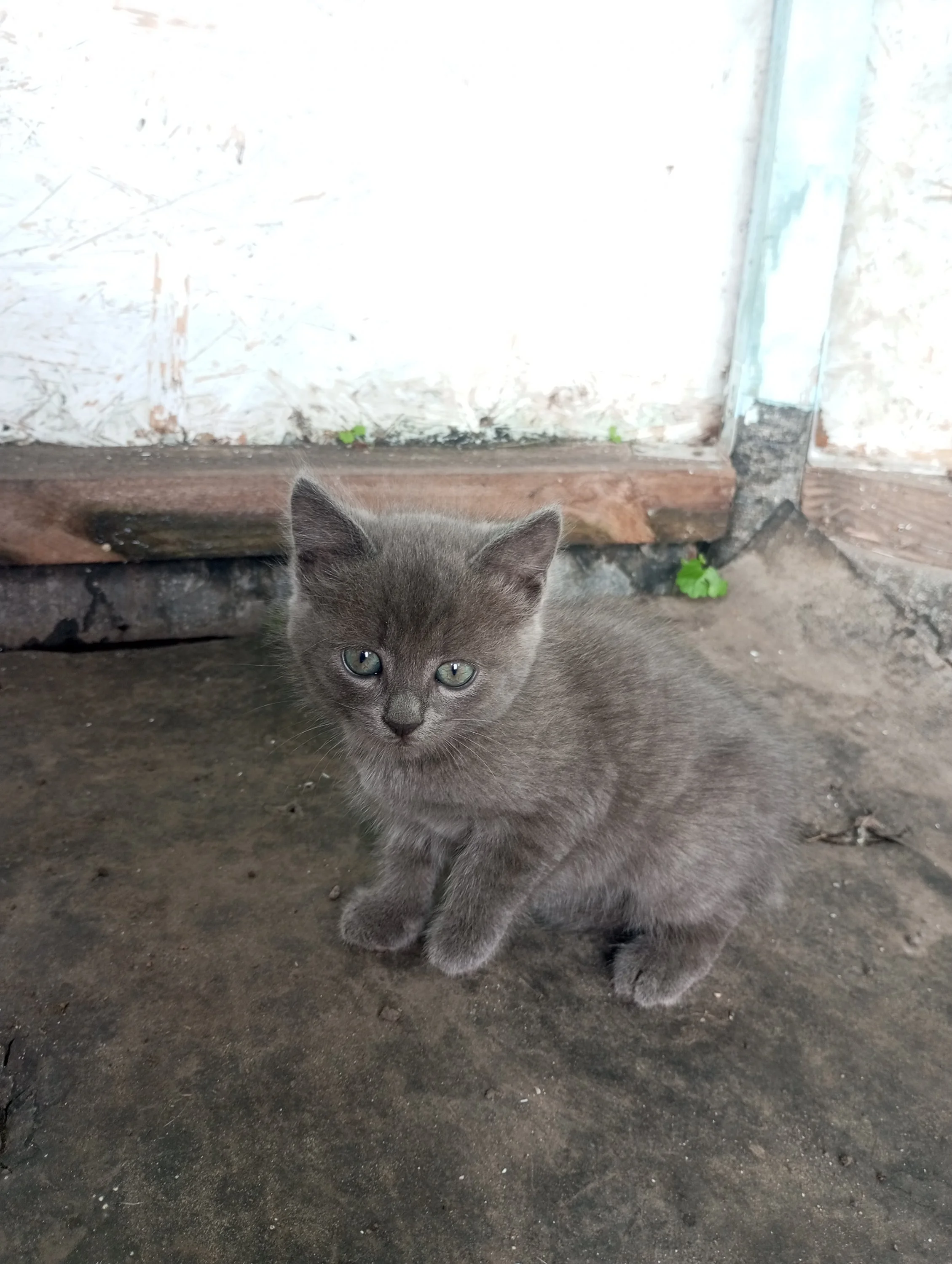 2023-08-22 16-58-28 (1).webp