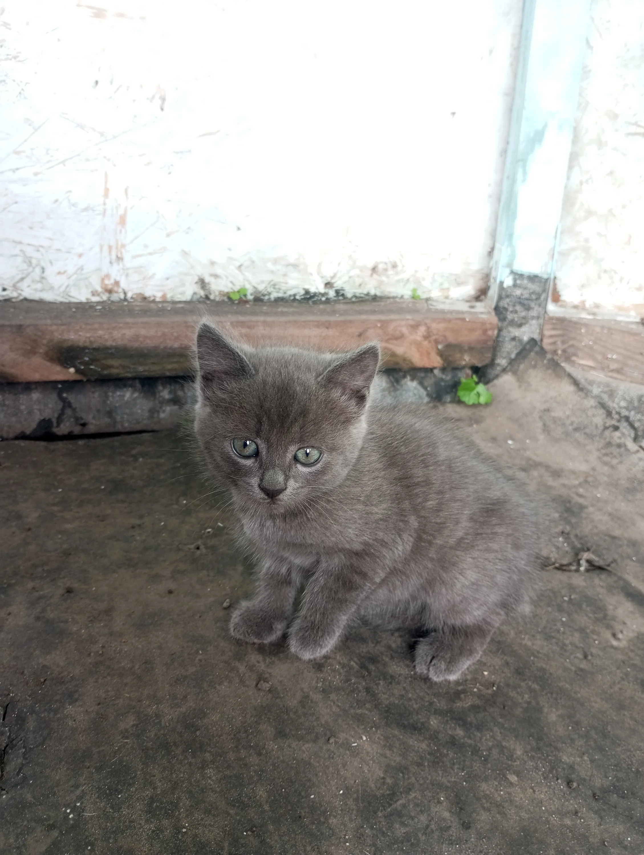 2023-08-22 16-58-28.webp