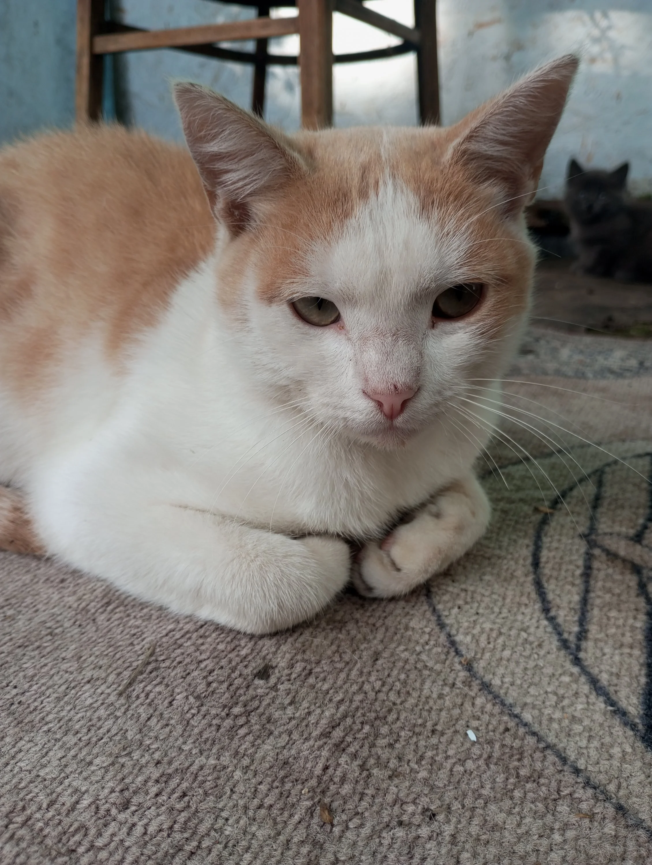 2023-08-22 16-59-02 (1).webp