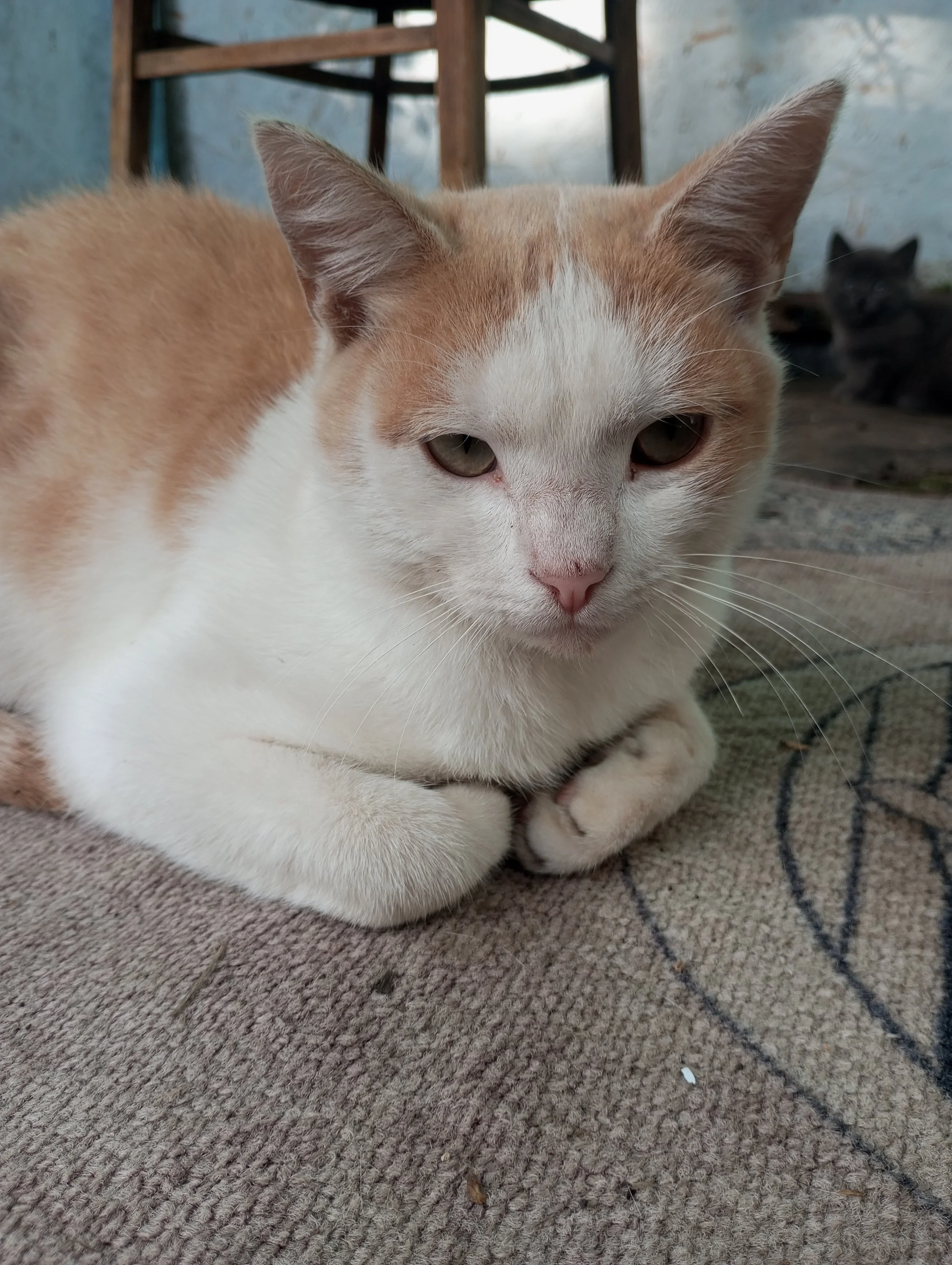 2023-08-22 16-59-02.webp