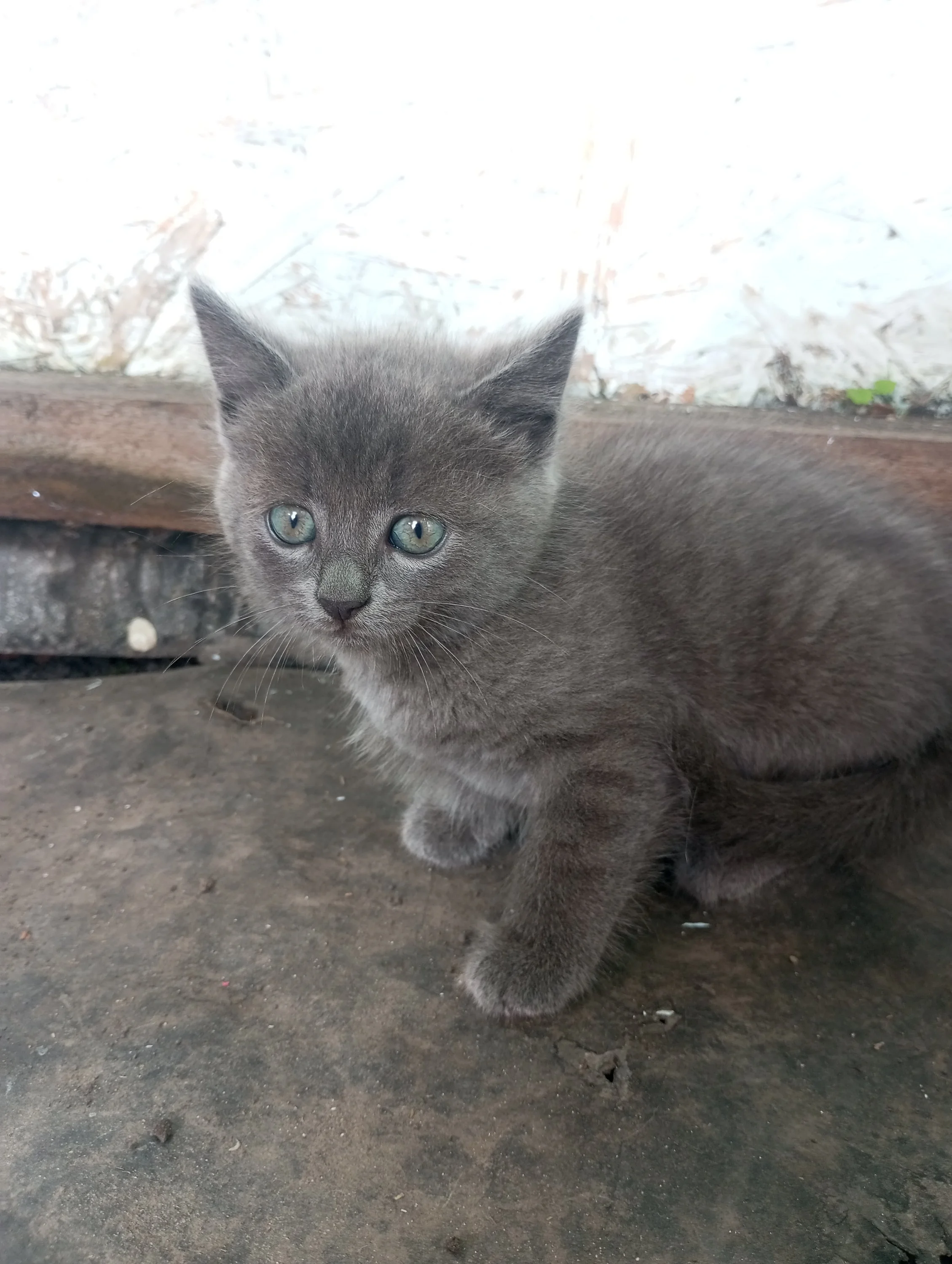 2023-08-22 16-59-11.webp