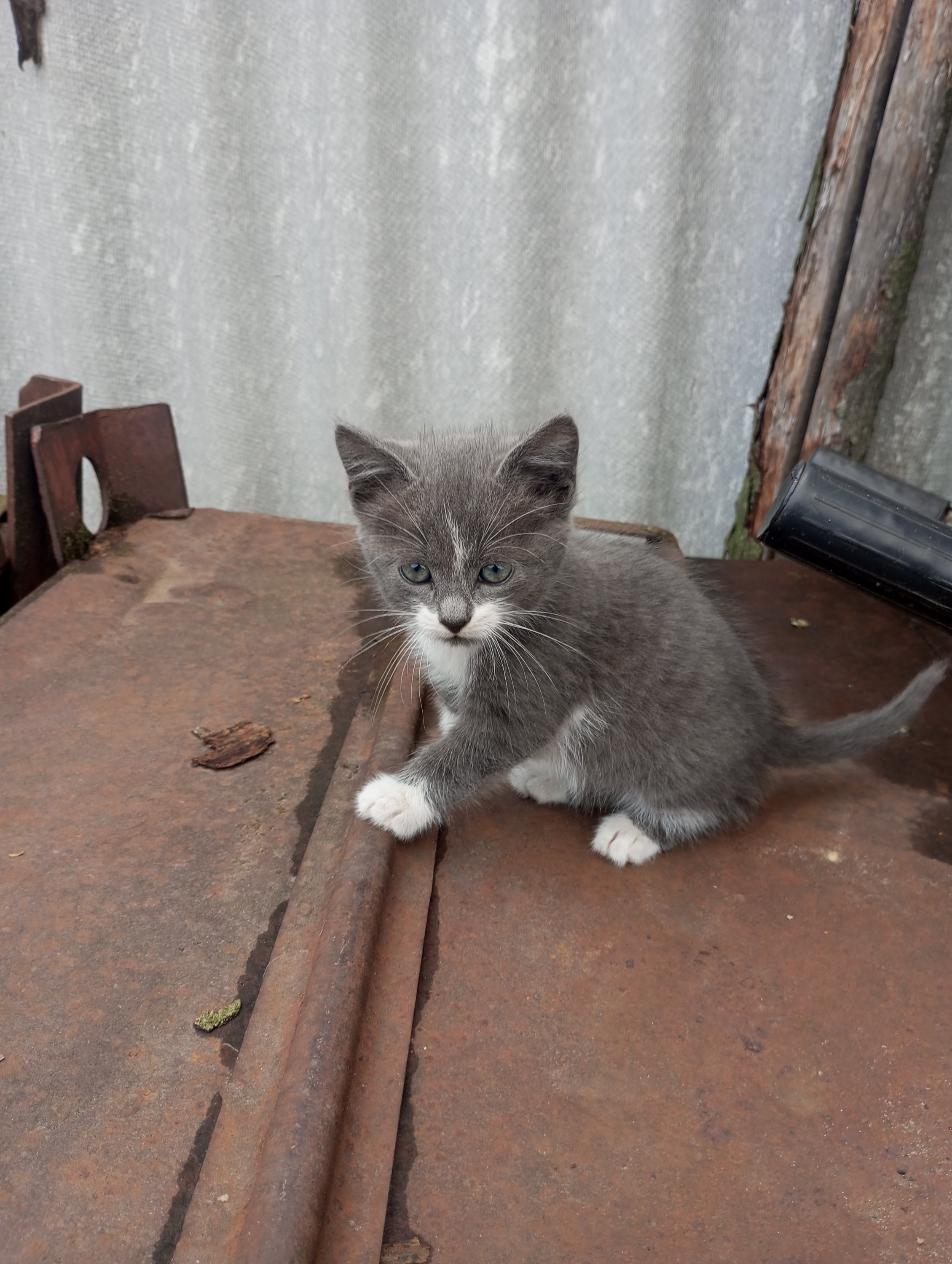 2023-08-22 16-59-49 (1).JPG