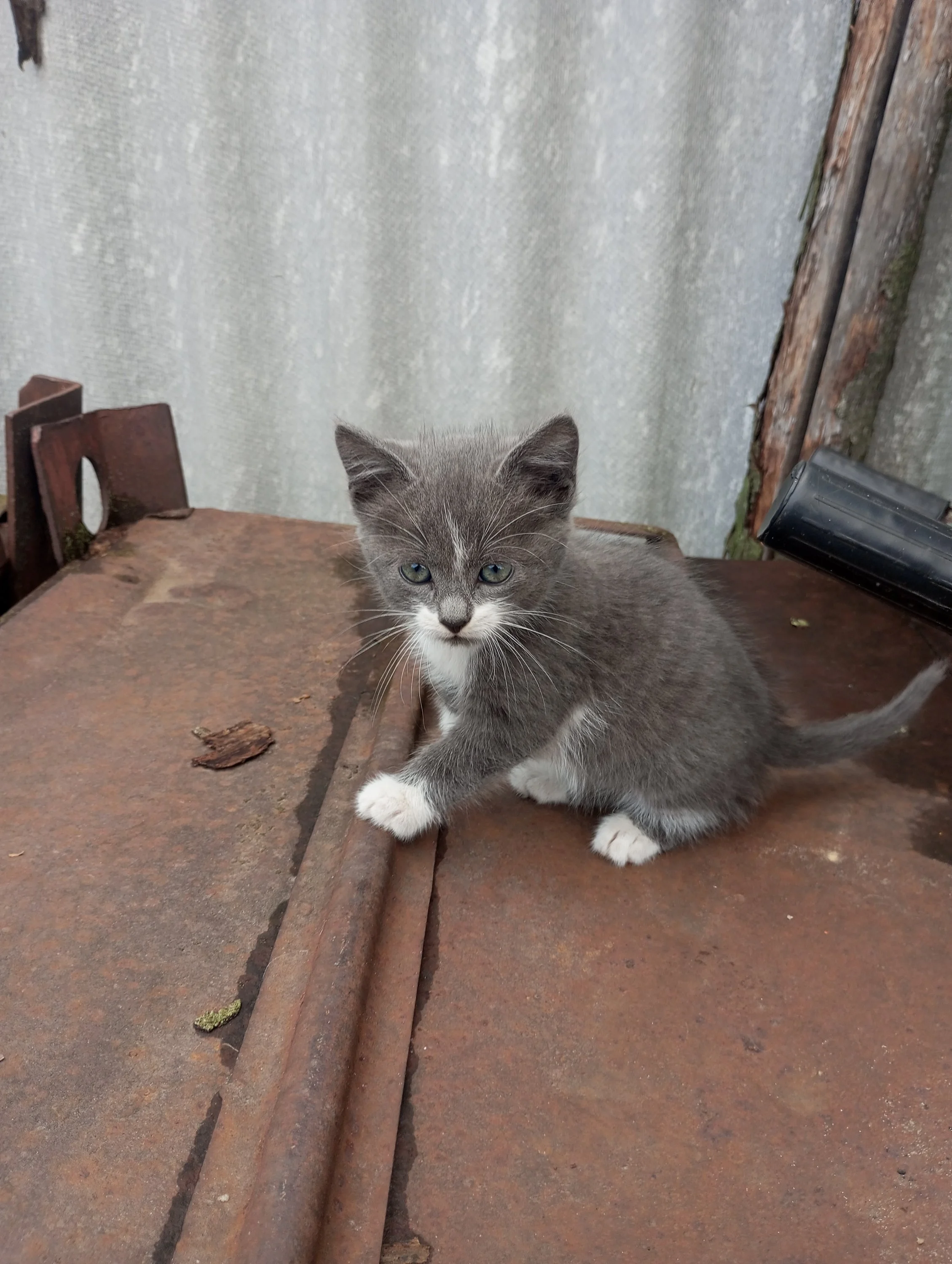 2023-08-22 16-59-49.webp