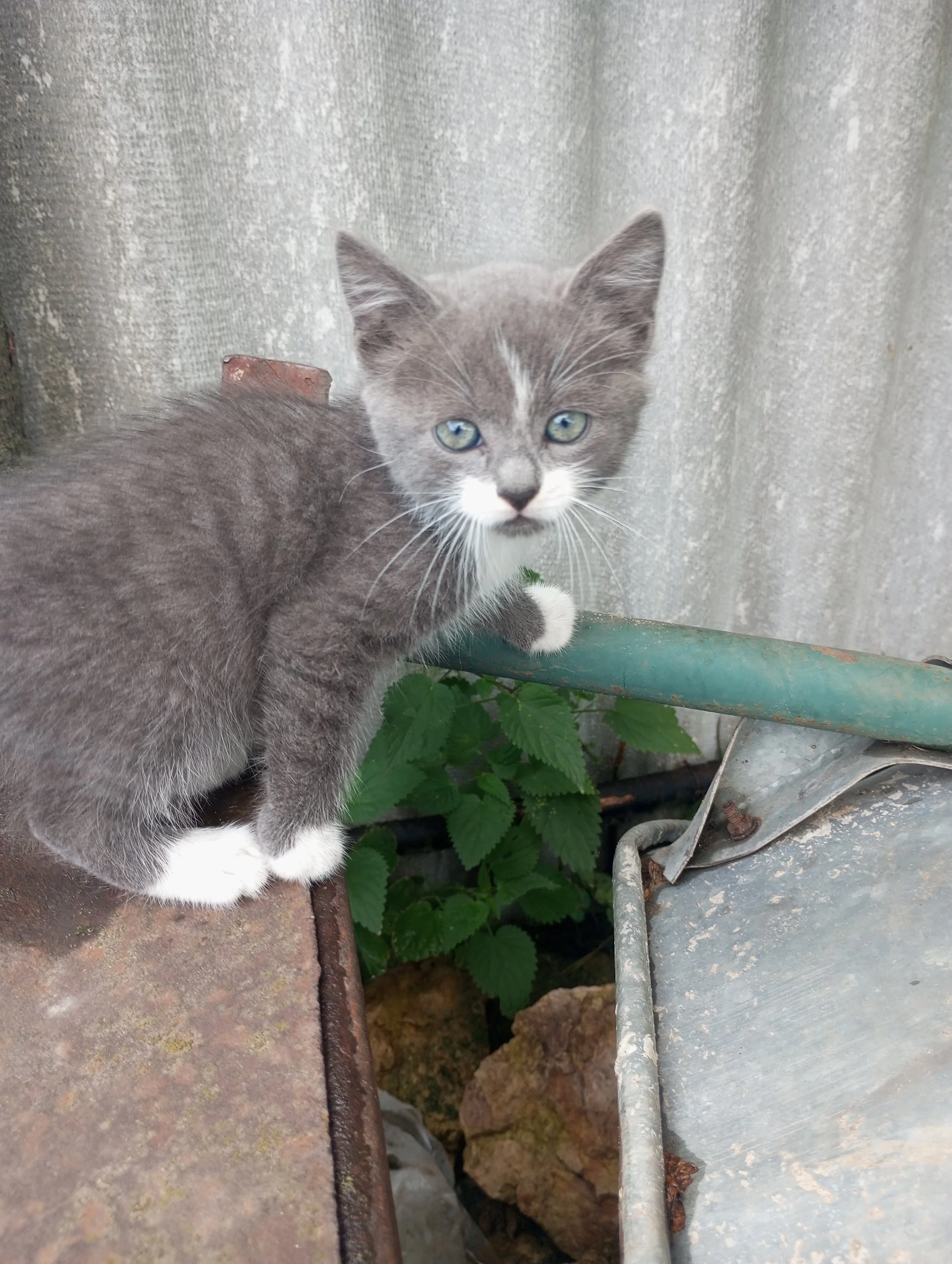 2023-08-22 16-59-56.webp