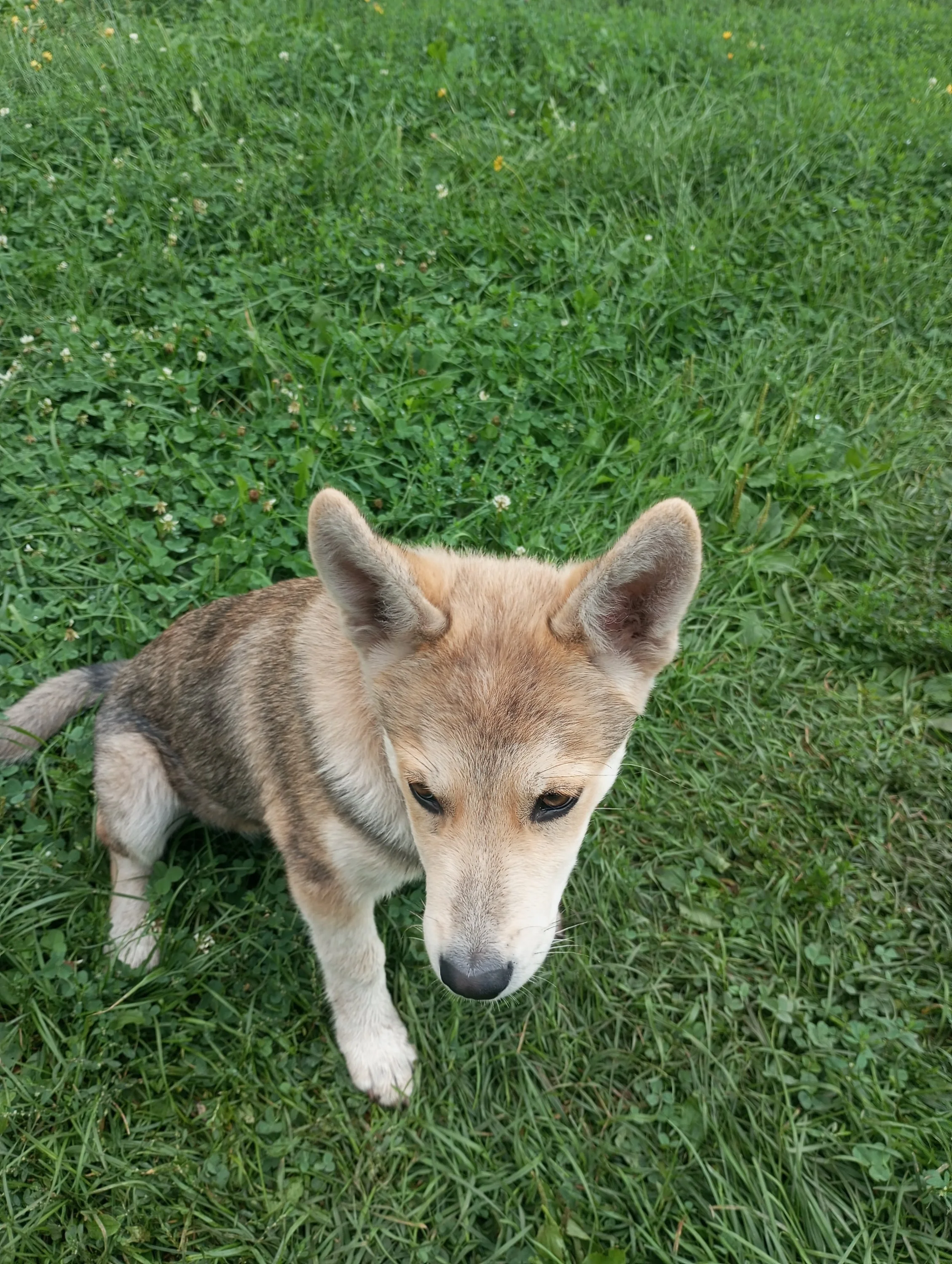 2023-08-22 17-00-25.webp