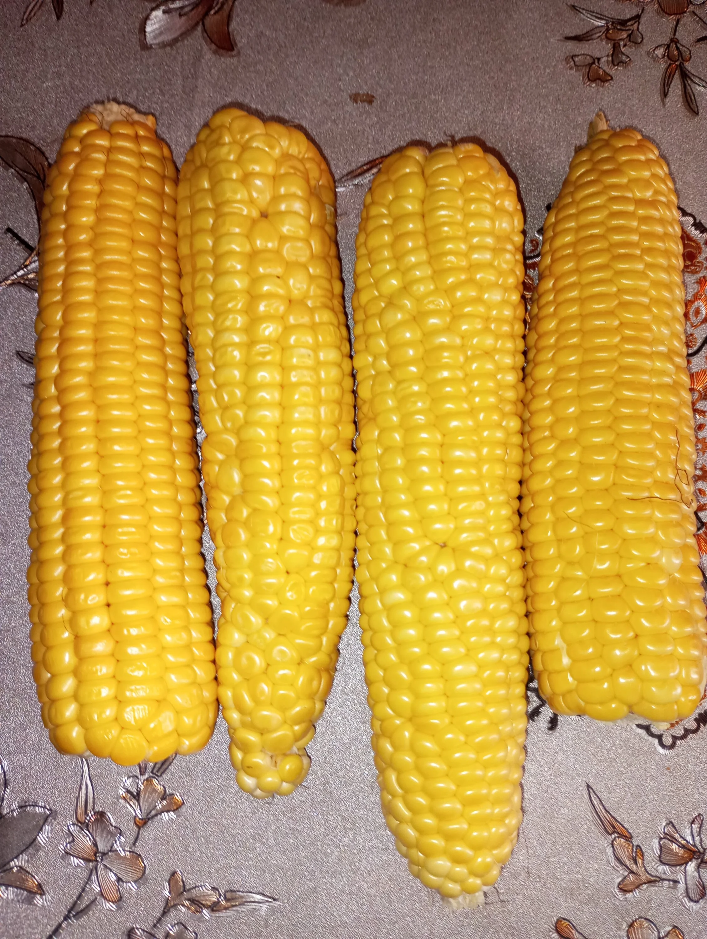 2023-08-25 16-41-12.webp