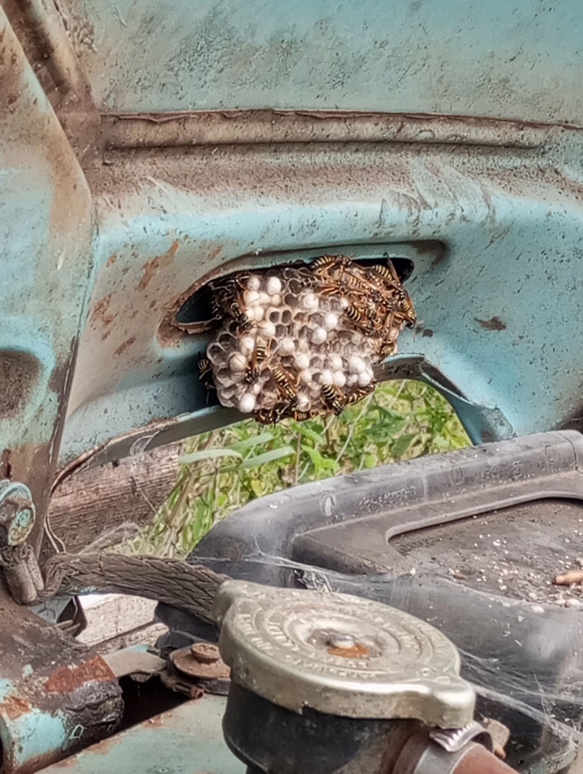 2023-08-26 13-47-36.webp