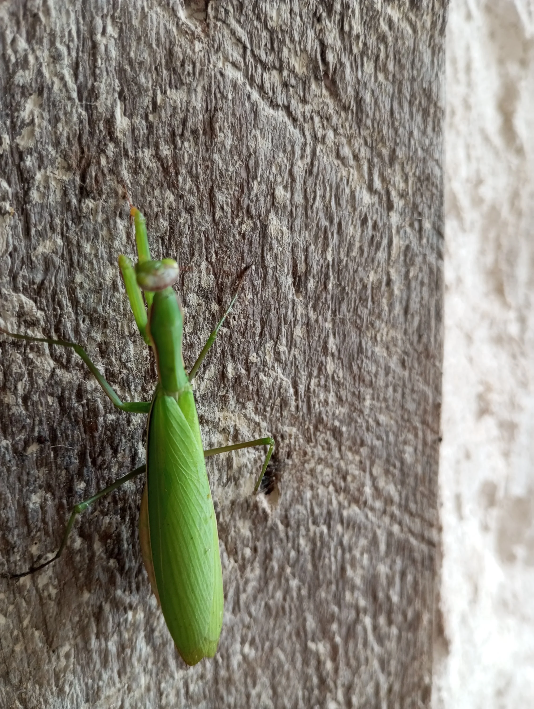 2023-08-26 14-55-20.webp