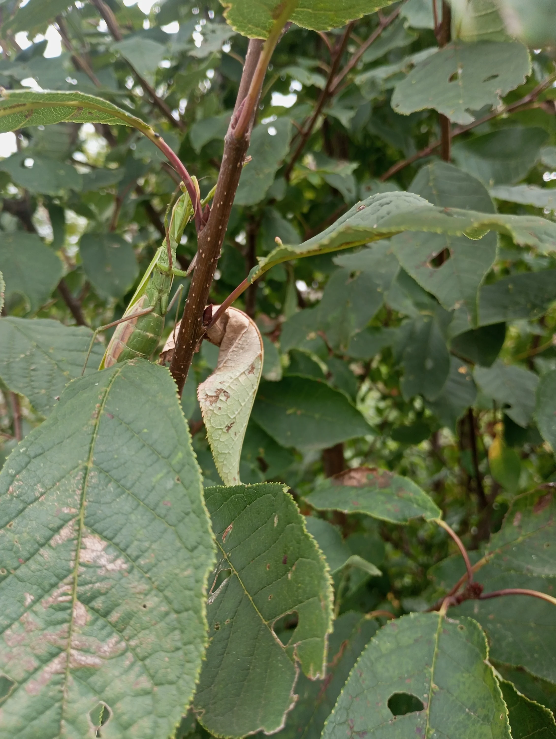 2023-08-26 15-02-16.webp