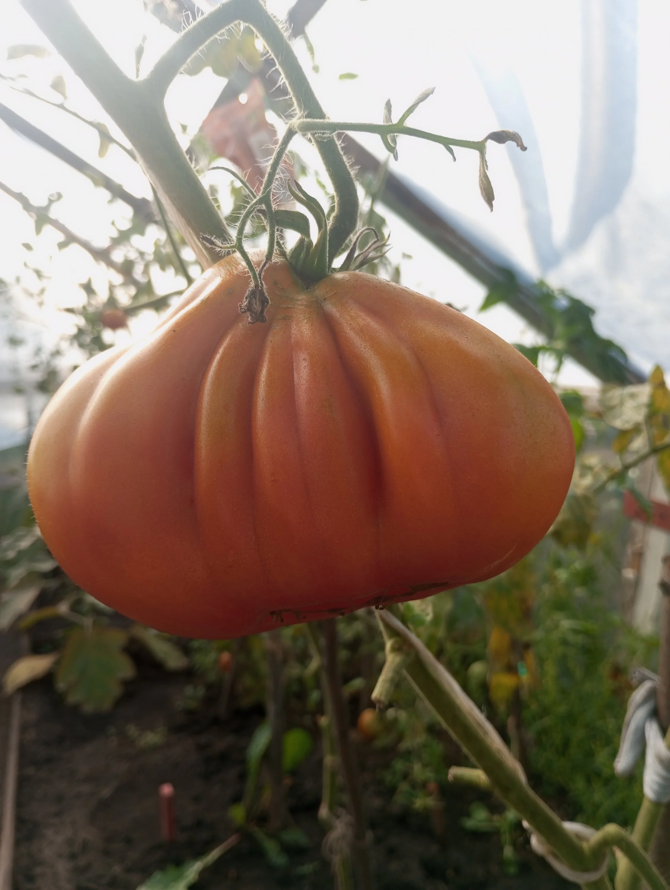 2023-08-31 08-26-24.webp