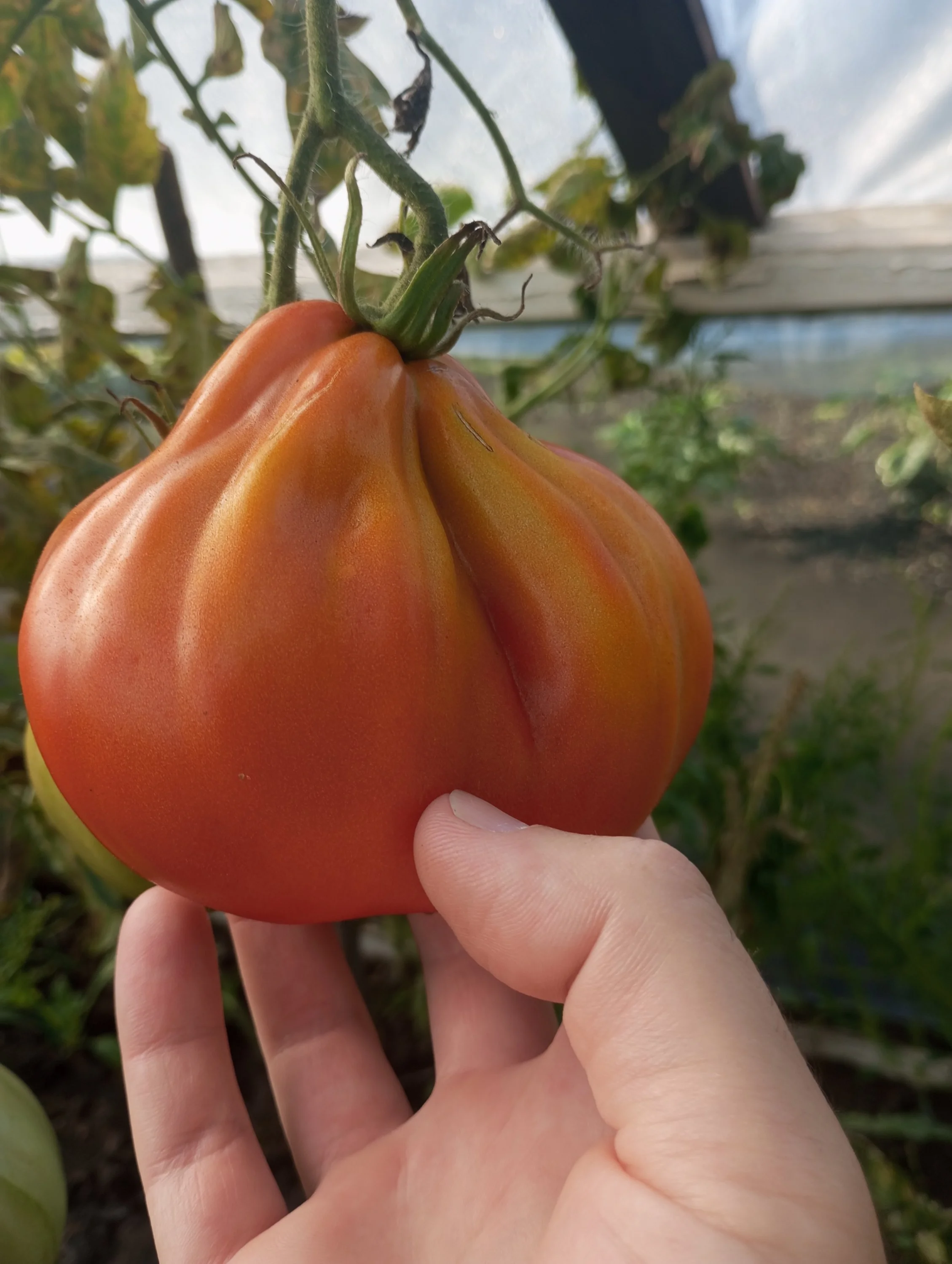 2023-08-31 08-27-06.webp