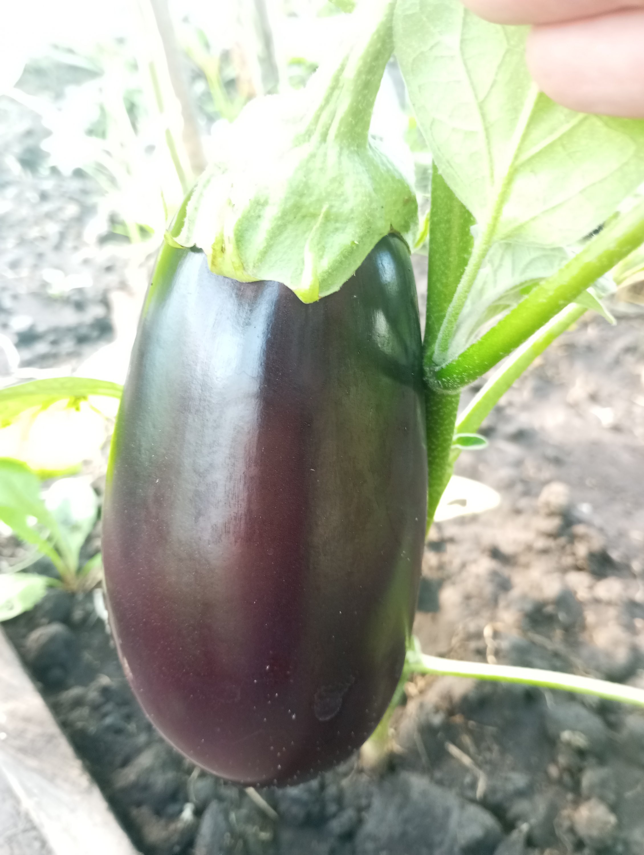 2023-08-31 08-27-30.JPG