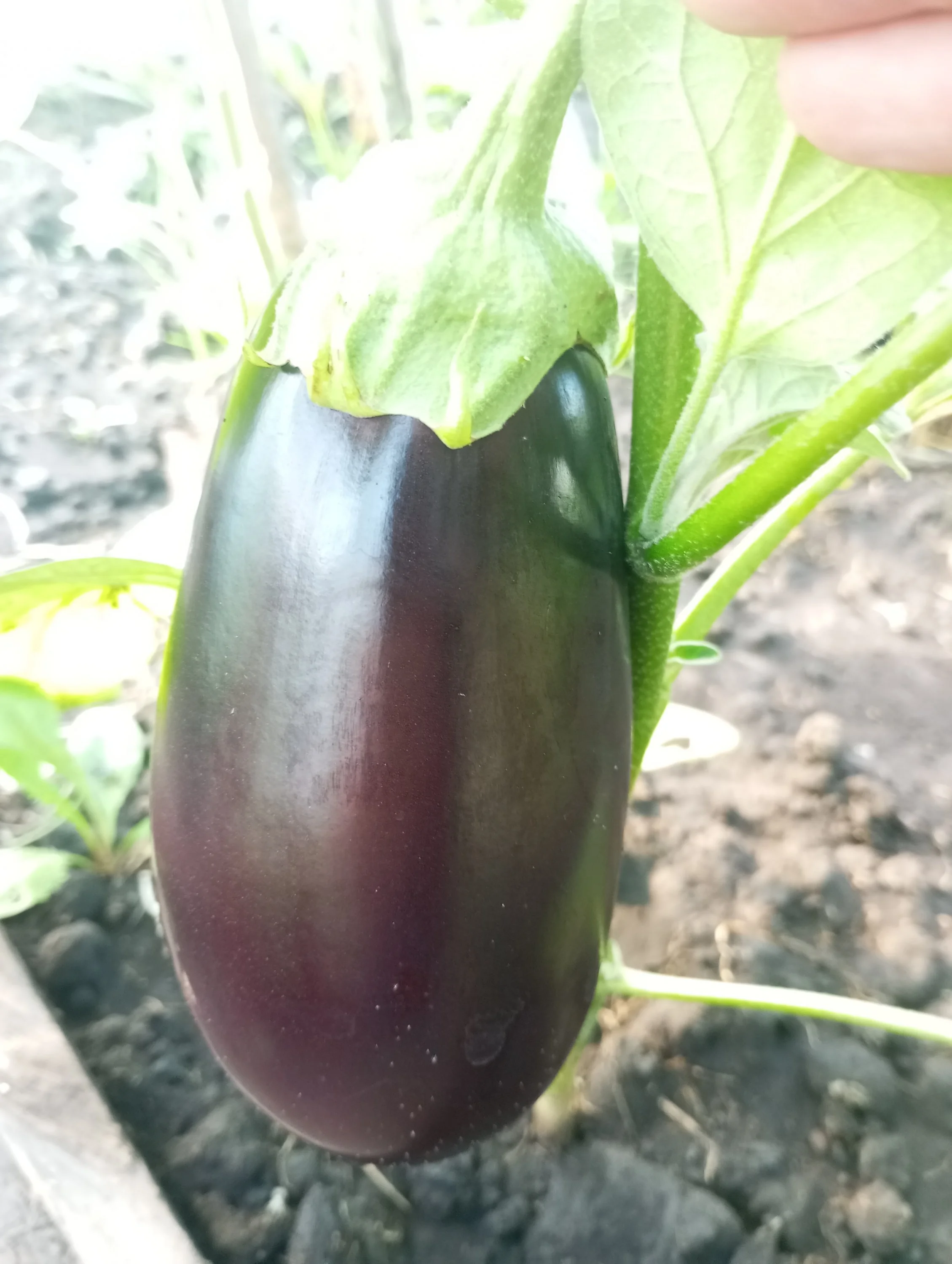 2023-08-31 08-27-30.webp