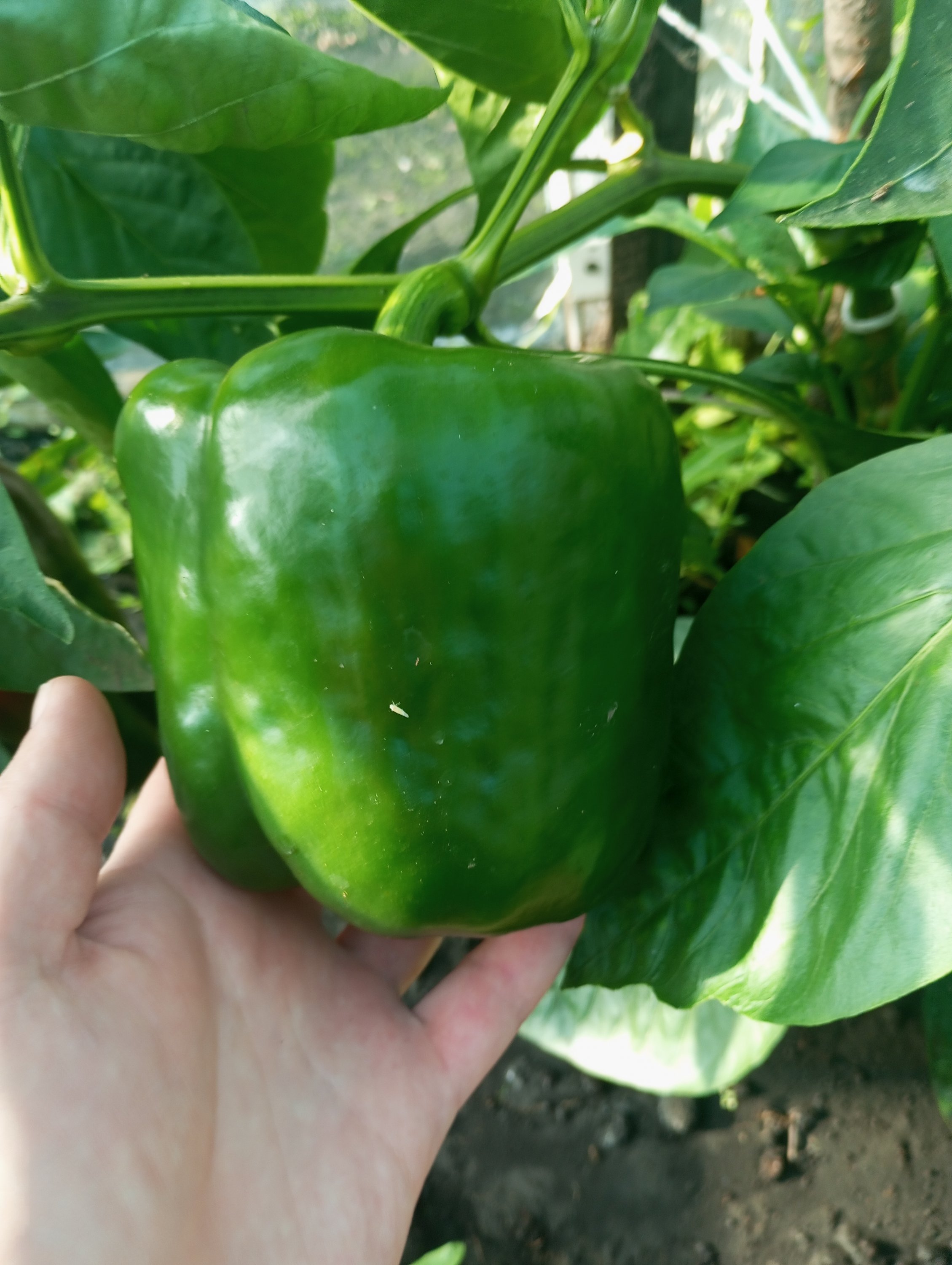 2023-08-31 08-28-05.JPG