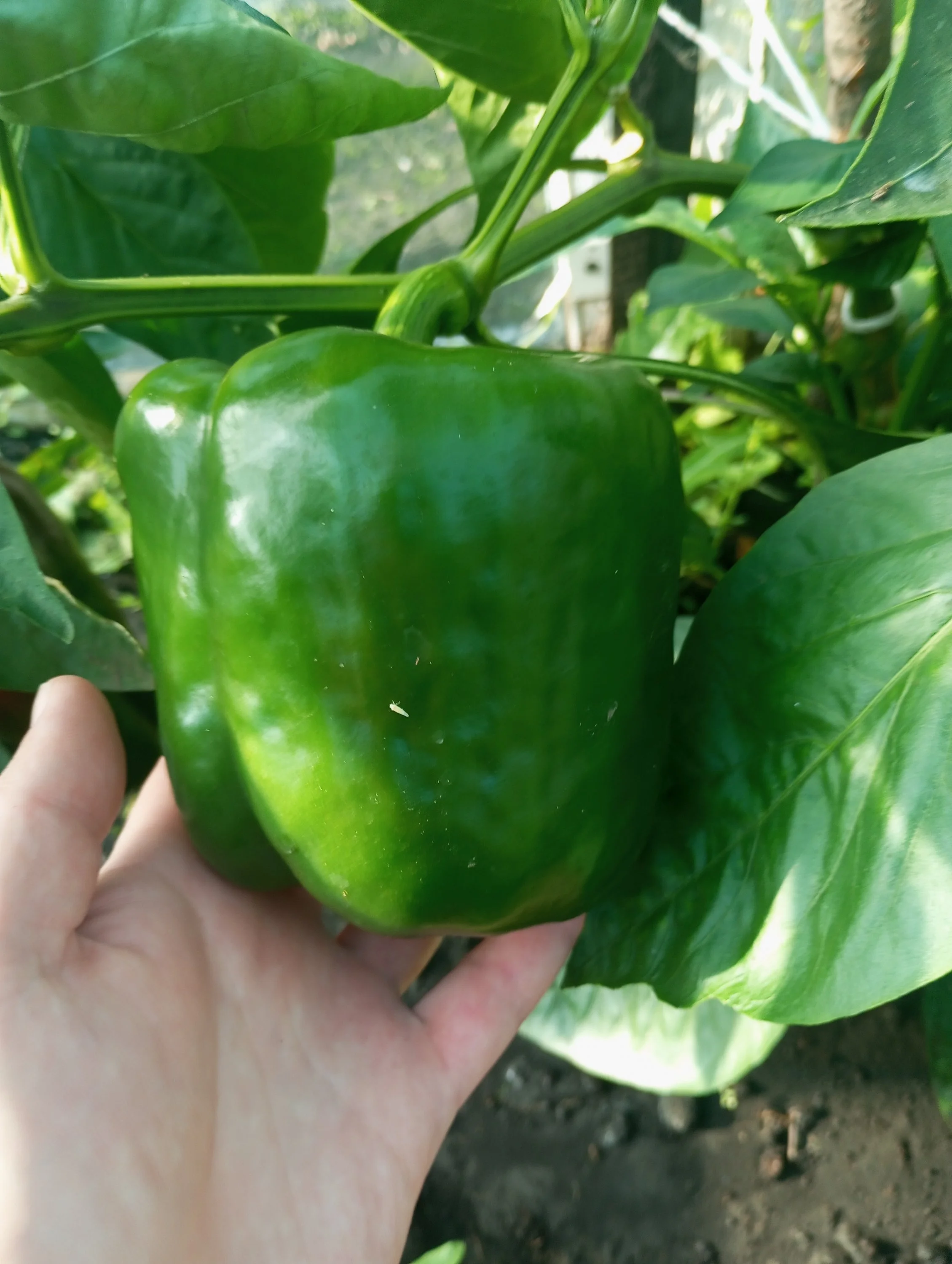 2023-08-31 08-28-05.webp