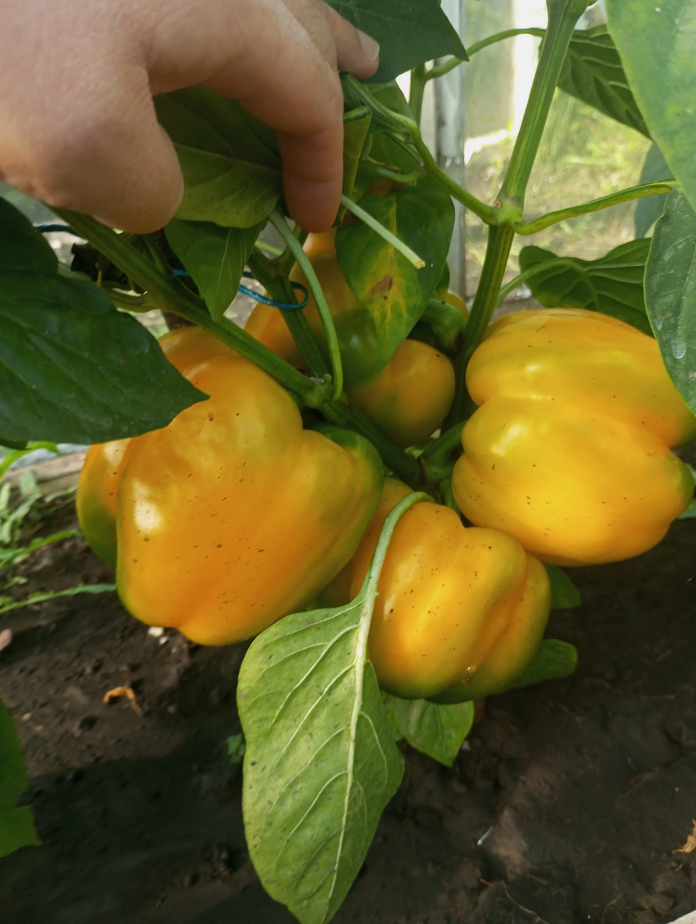 2023-08-31 08-28-34.webp