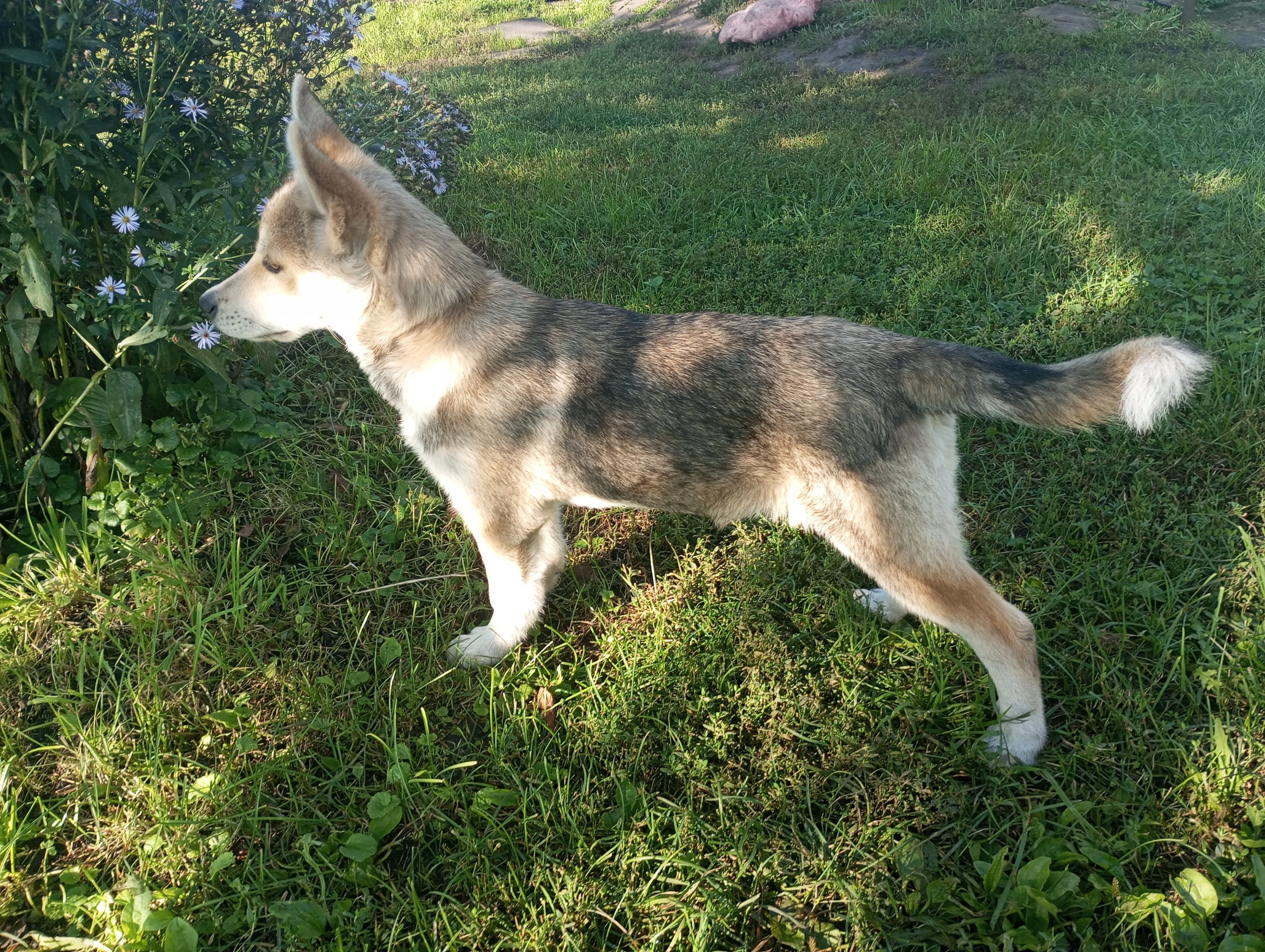 2023-08-31 08-29-21.webp