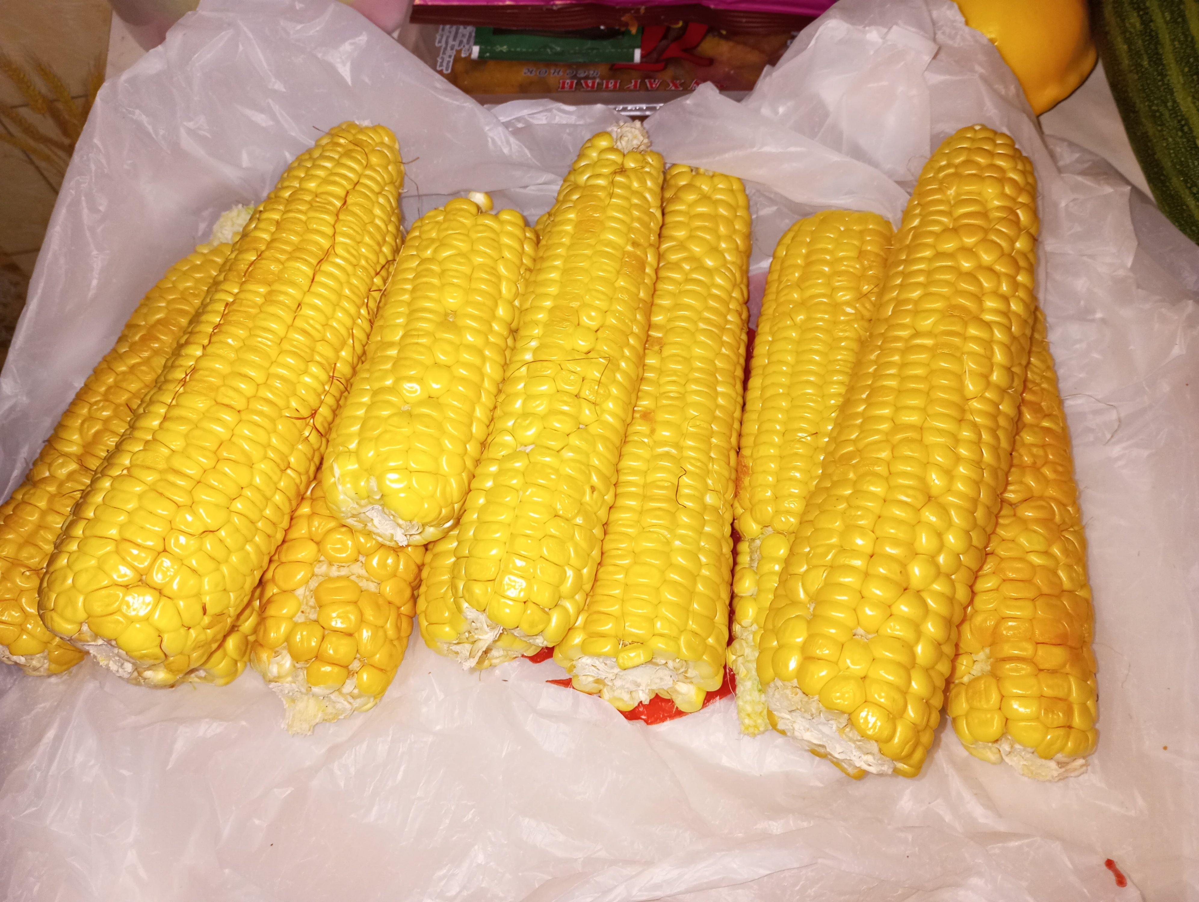 2023-09-02 15-02-24.JPG