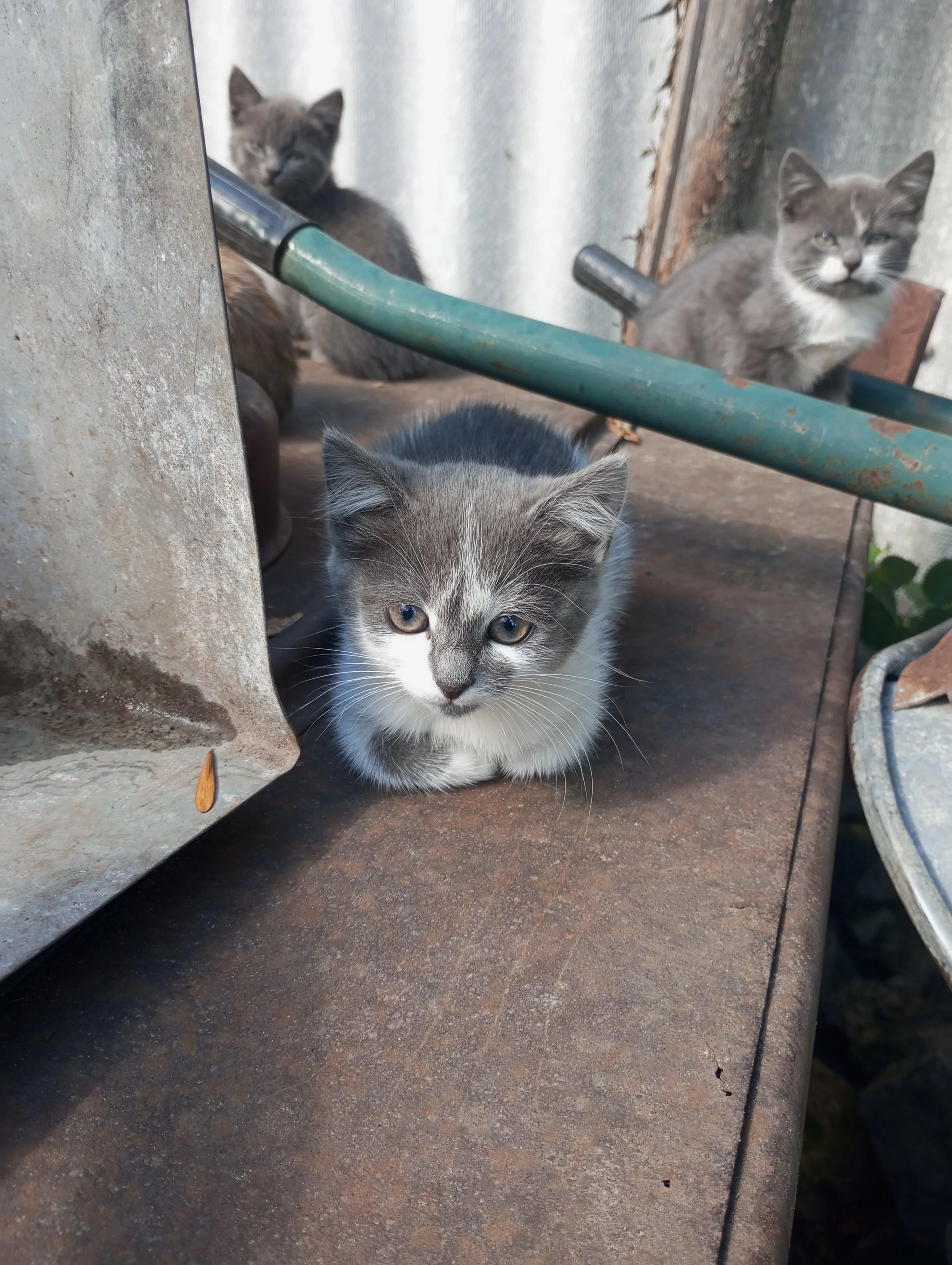 2023-09-09 12-23-51.webp