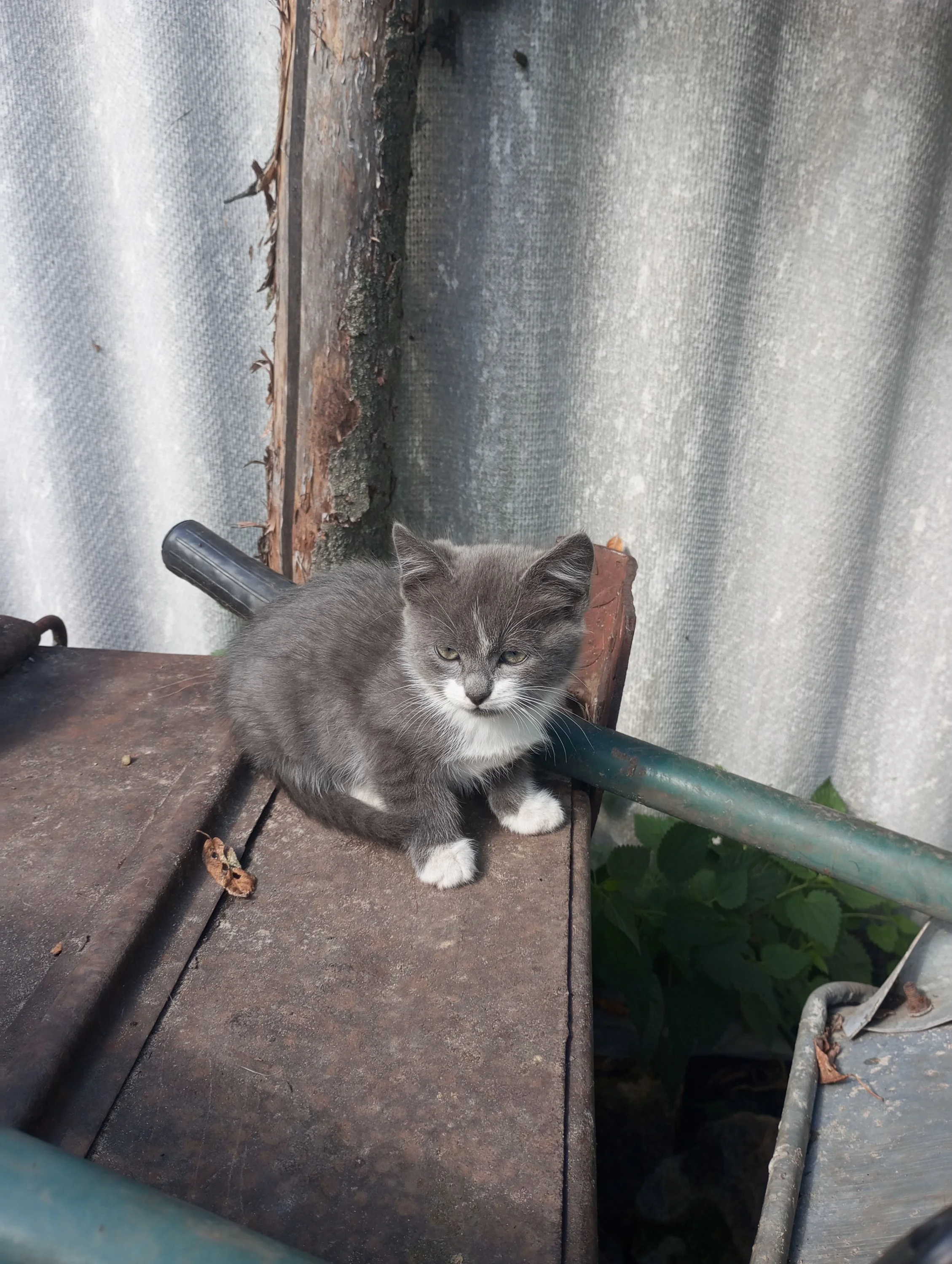 2023-09-09 12-23-54.webp