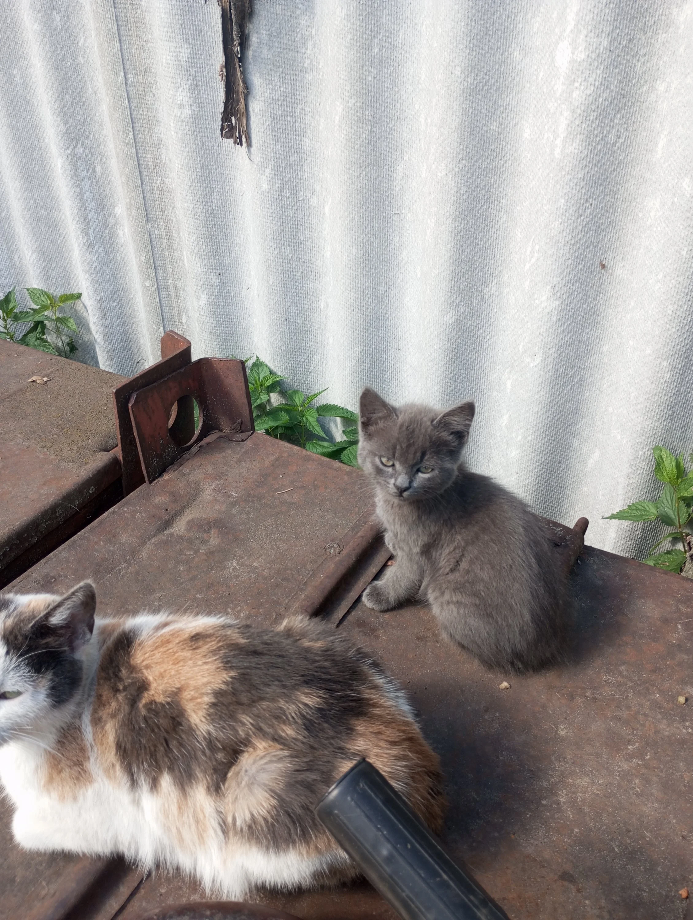 2023-09-09 12-23-58.webp