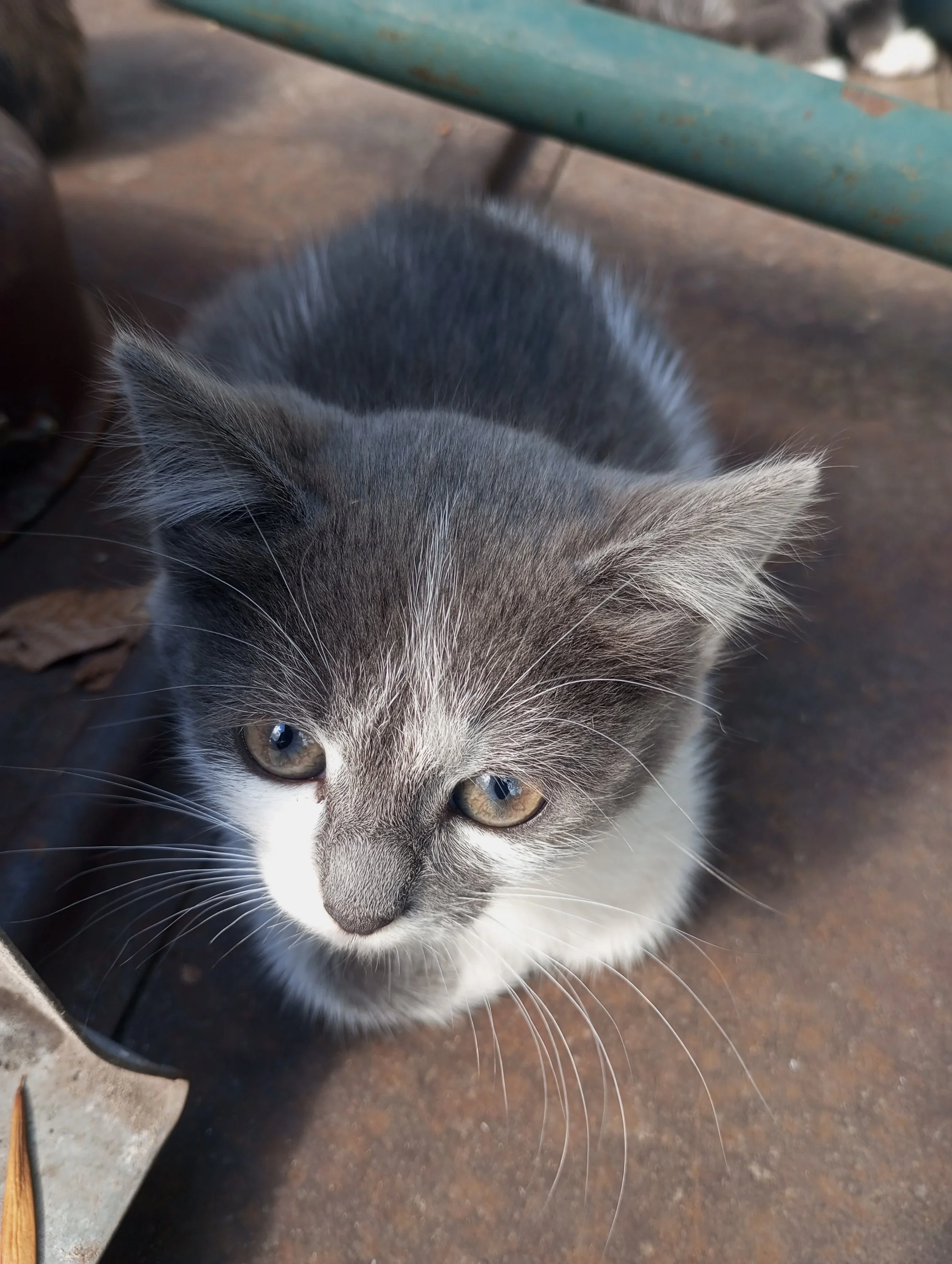 2023-09-09 12-24-01.webp