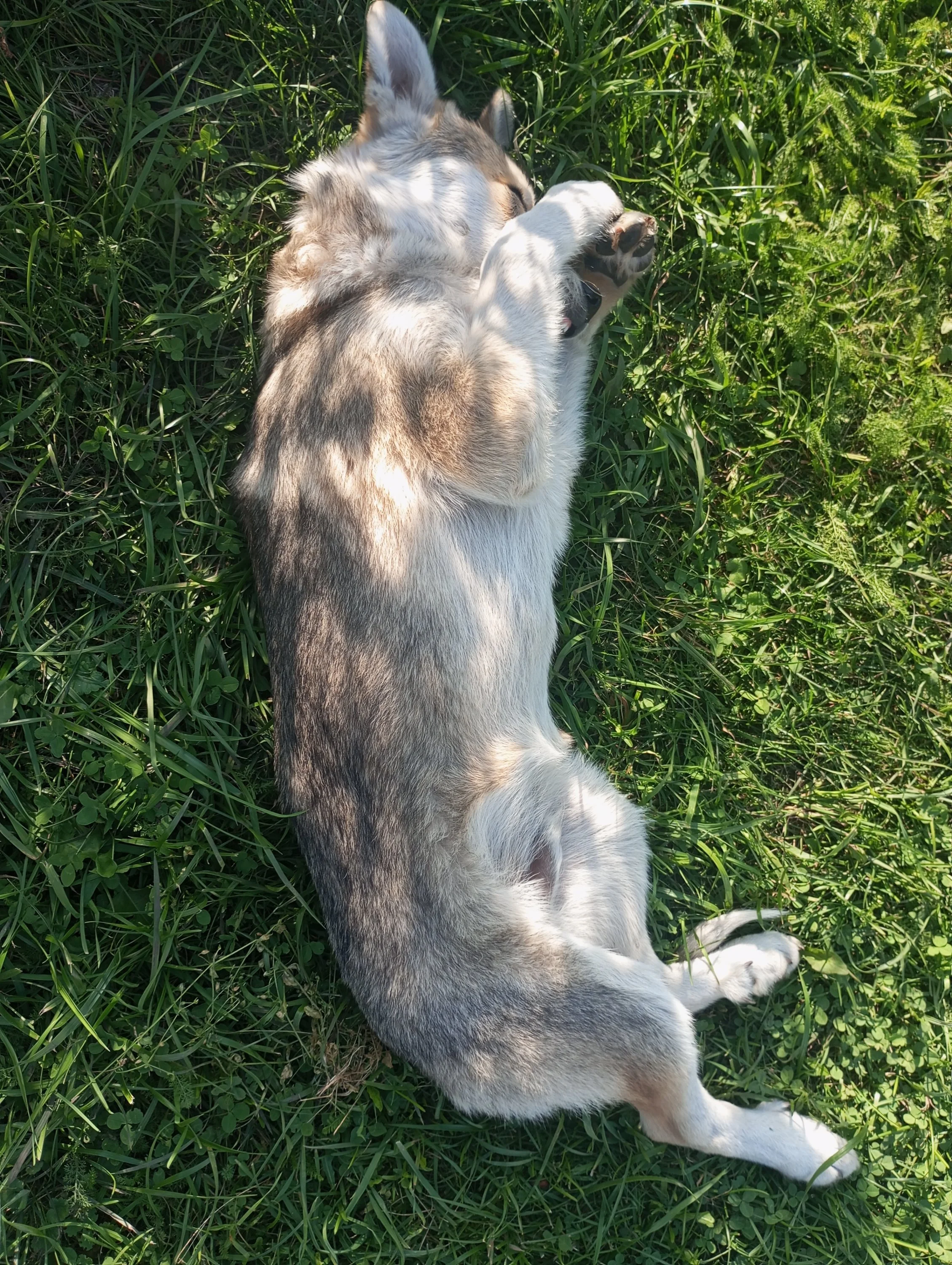 2023-09-11 16-27-57.webp