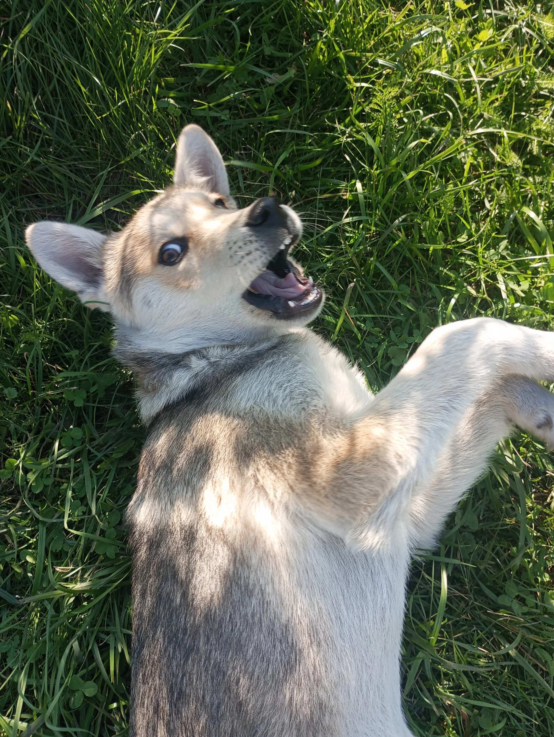 2023-09-11 16-28-00.webp