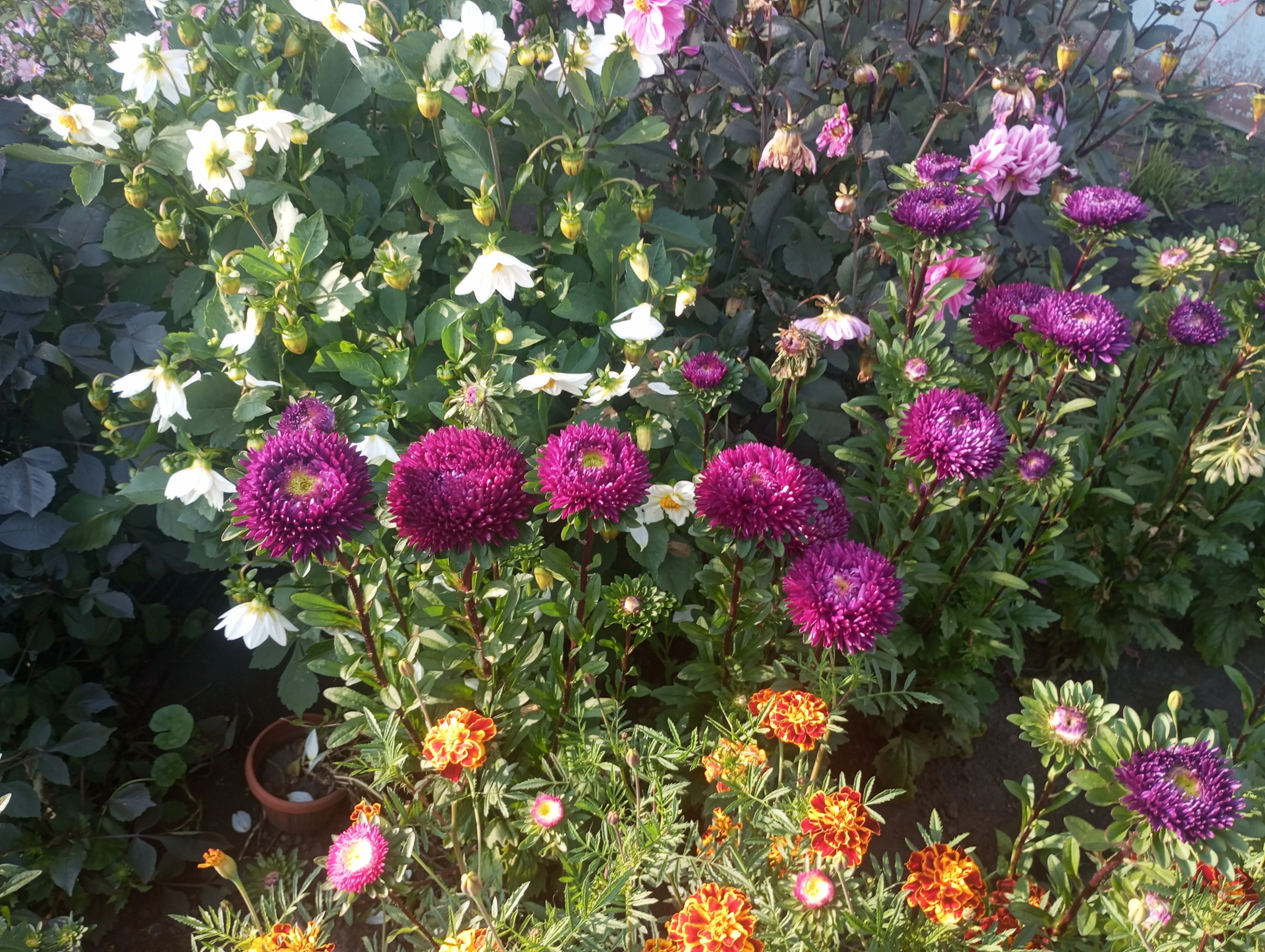 2023-09-11 16-30-33.webp