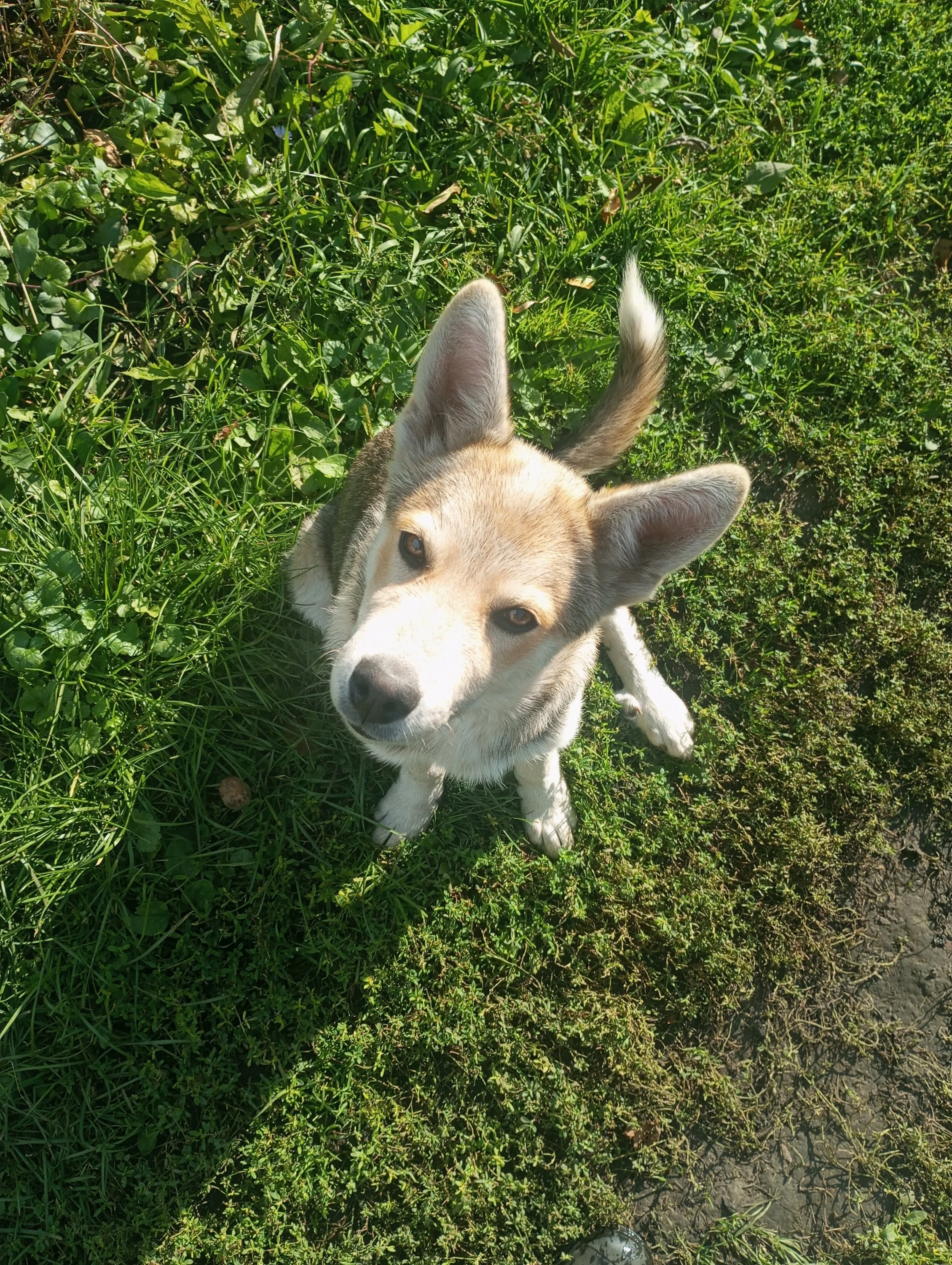 2023-09-16 09-11-31.webp