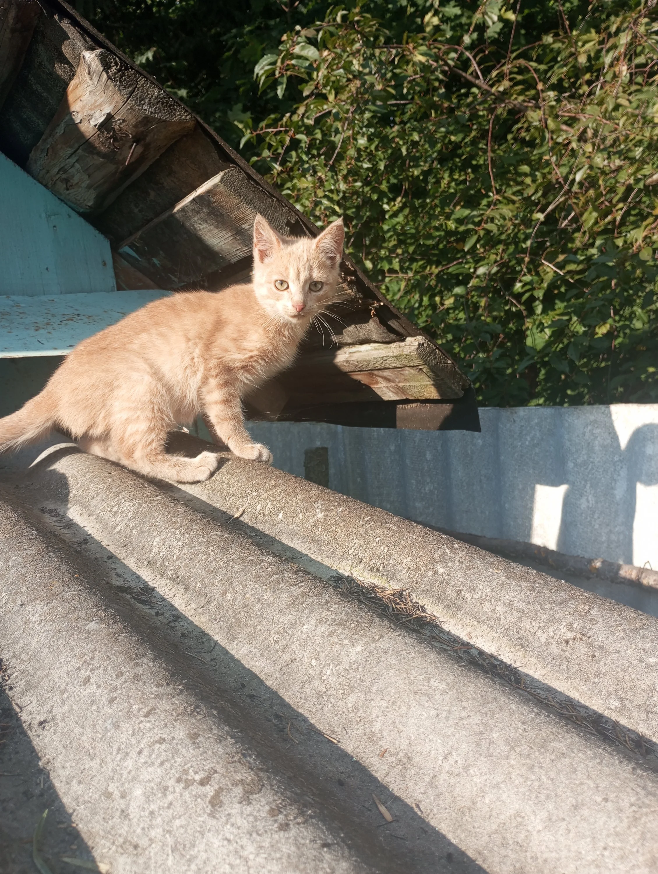 2023-09-16 09-11-55.webp