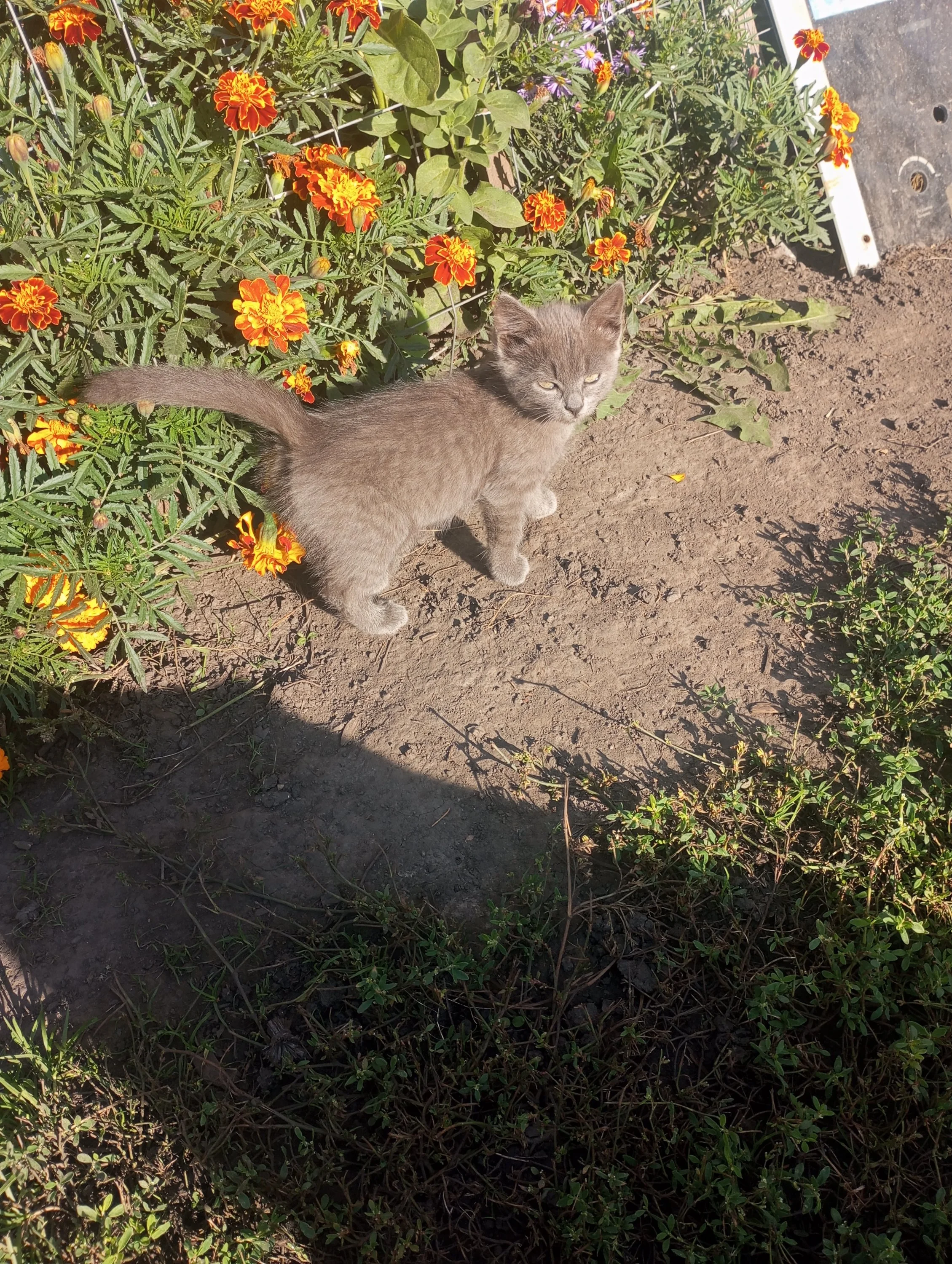 2023-09-16 09-12-47.webp