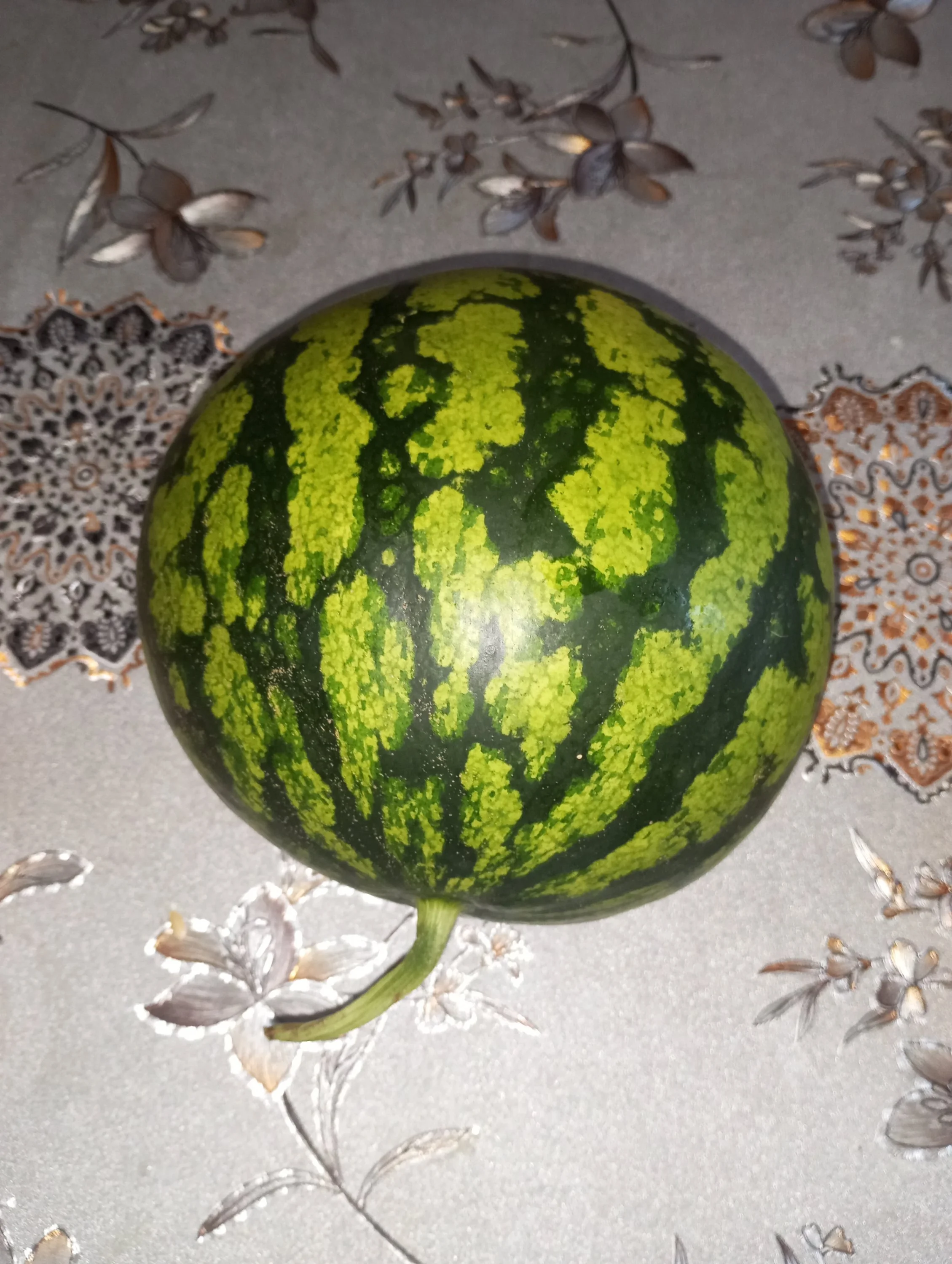 2023-09-17 08-52-28.webp