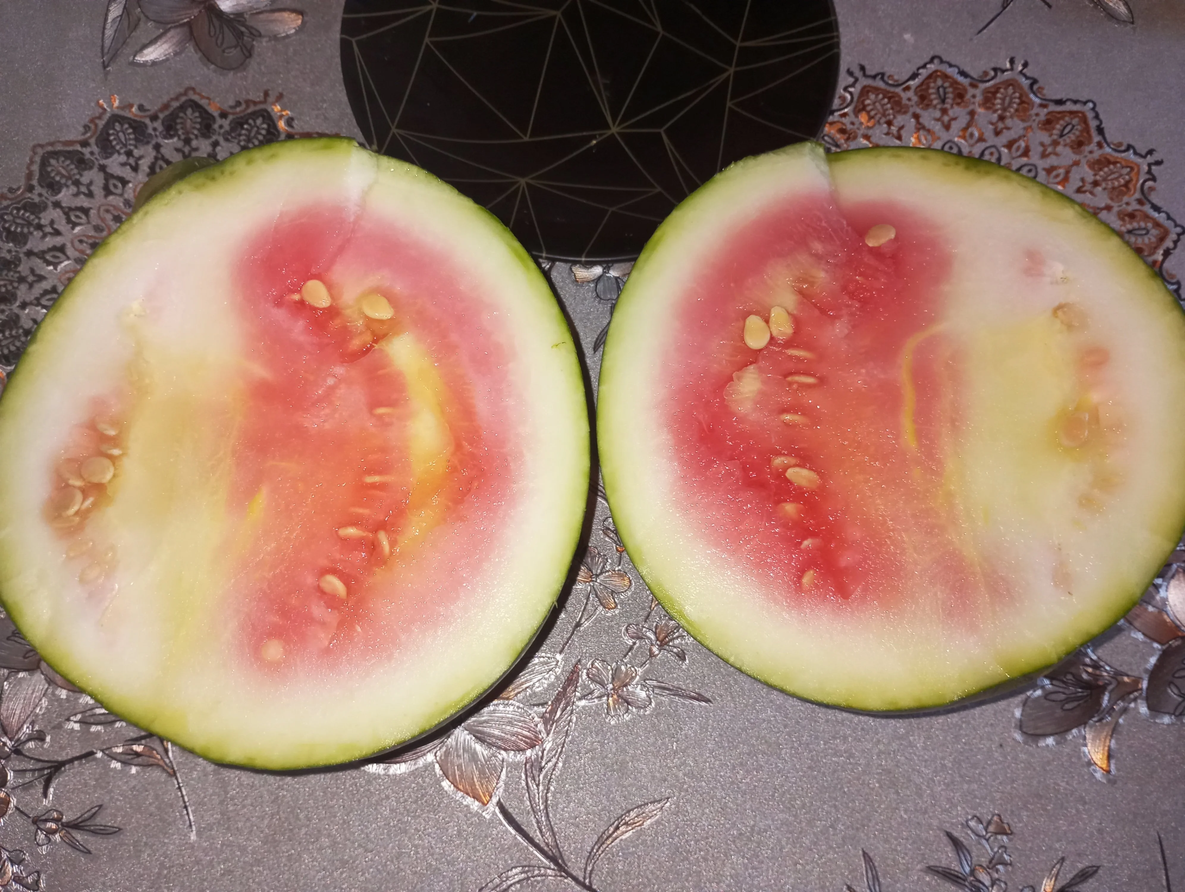 2023-09-17 08-53-35.webp