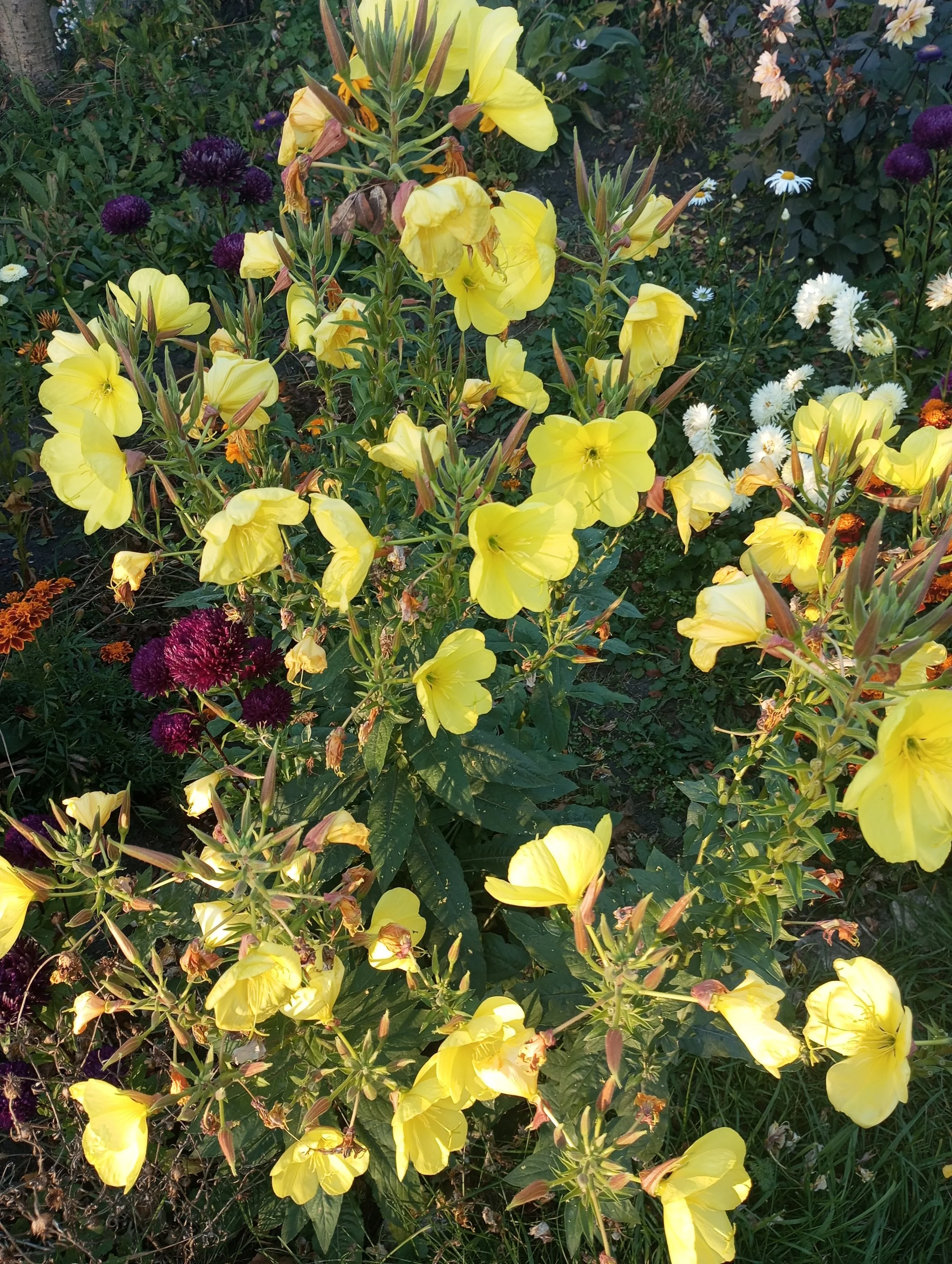 2023-09-24 07-28-31.webp