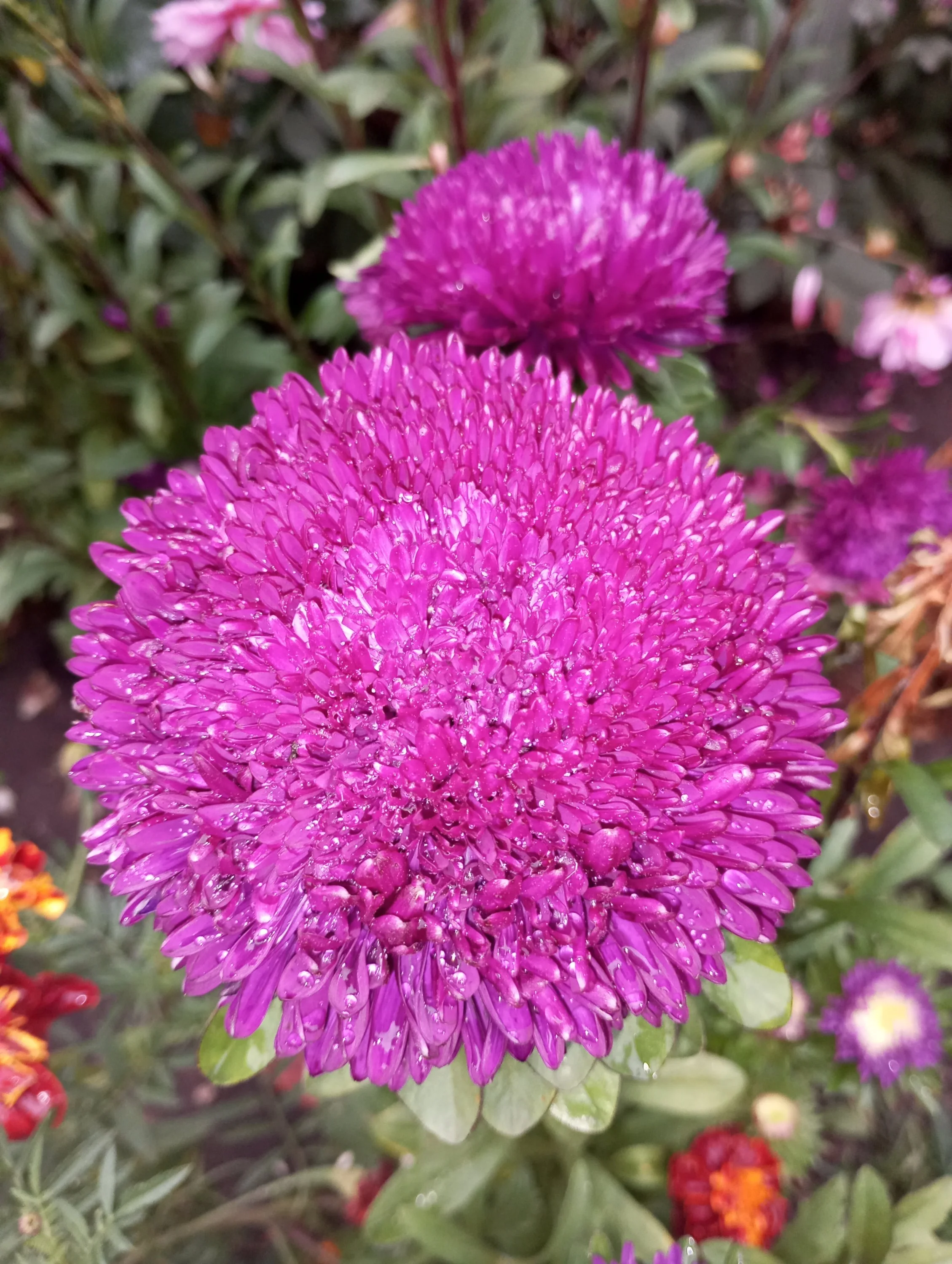 2023-09-25 15-53-14.JPG